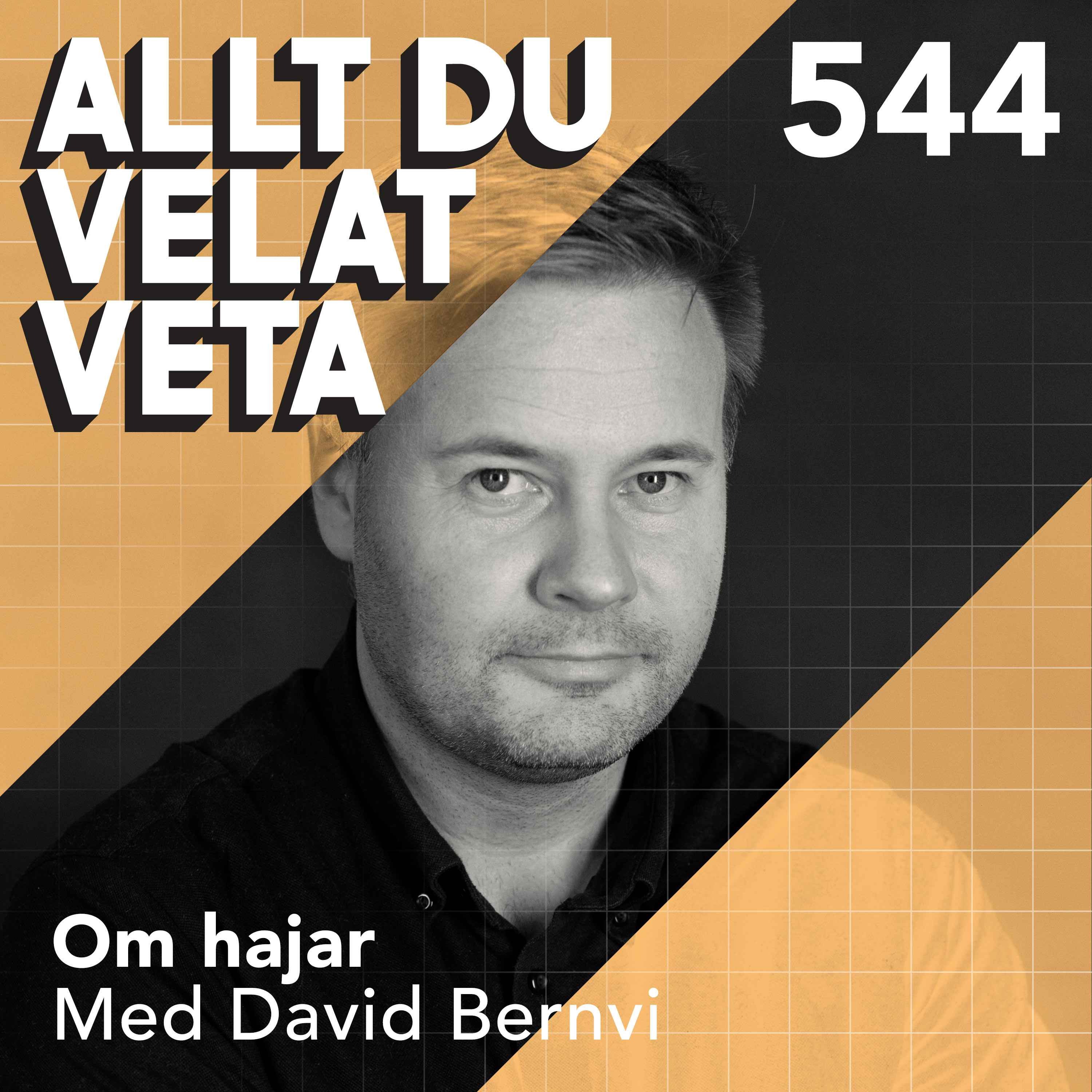 544 Om hajar med David Bernvi - Havets urtidsrovdjur – vad vi egentligen vet om dem?