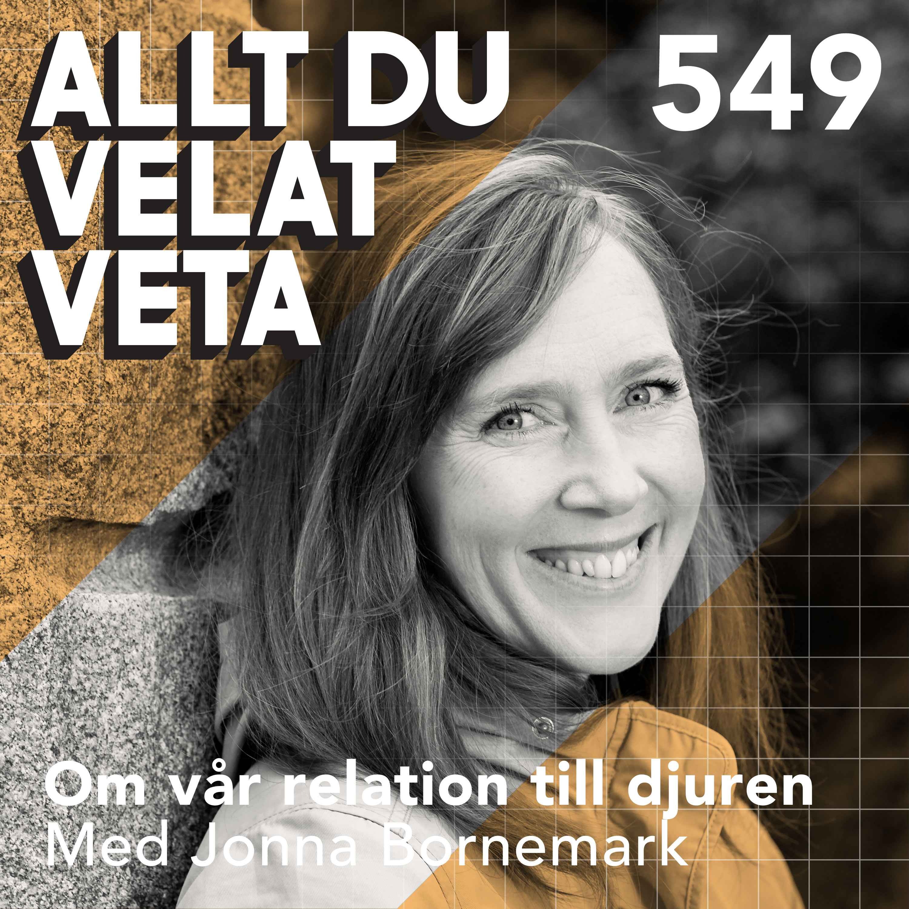 549 Om vår relation till djuren med Jonna Bornemark - ansvar, empati och artöverskridande relationer