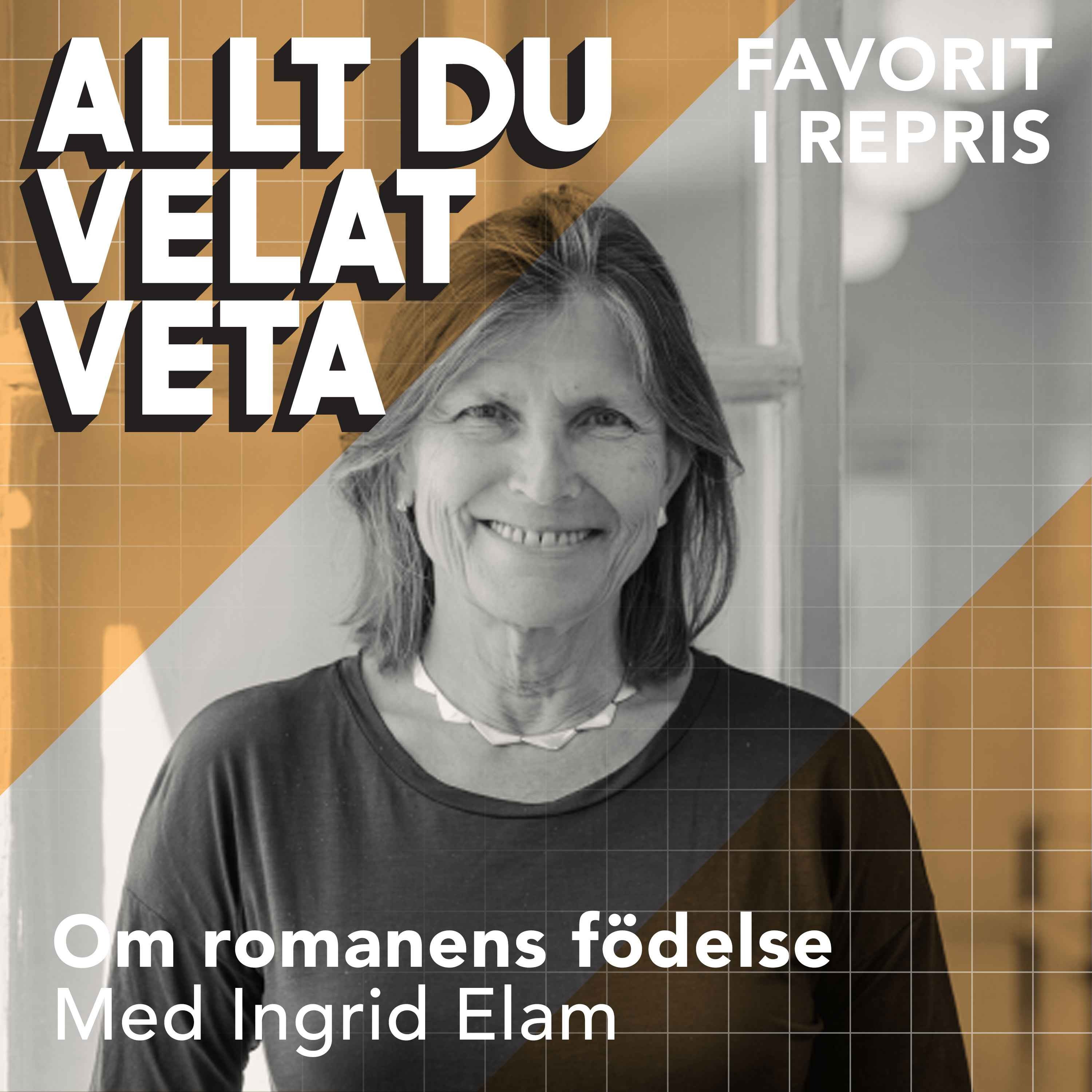 Om romanens födelse - repris