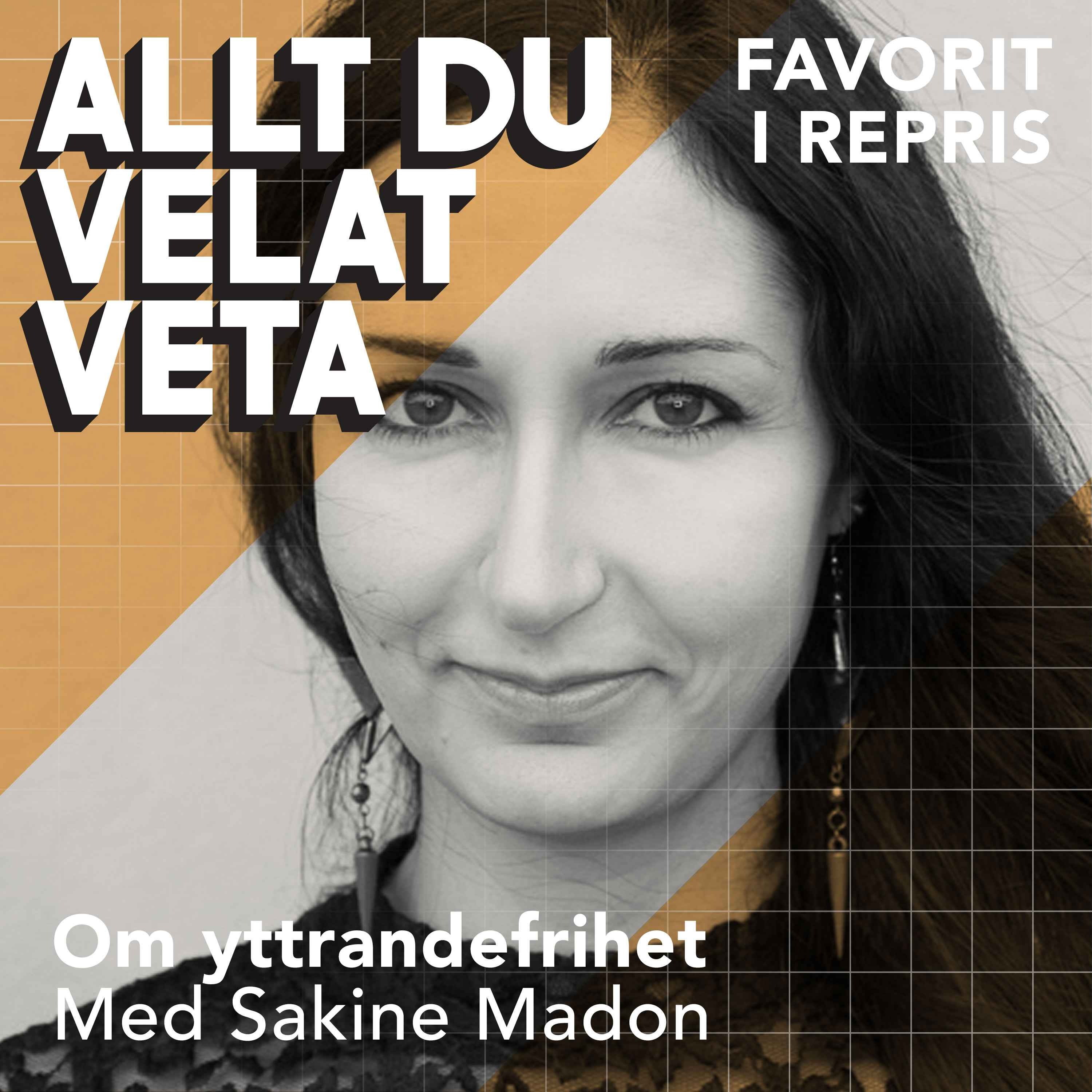 Om yttrandefrihet med Sakine Madon (repris)