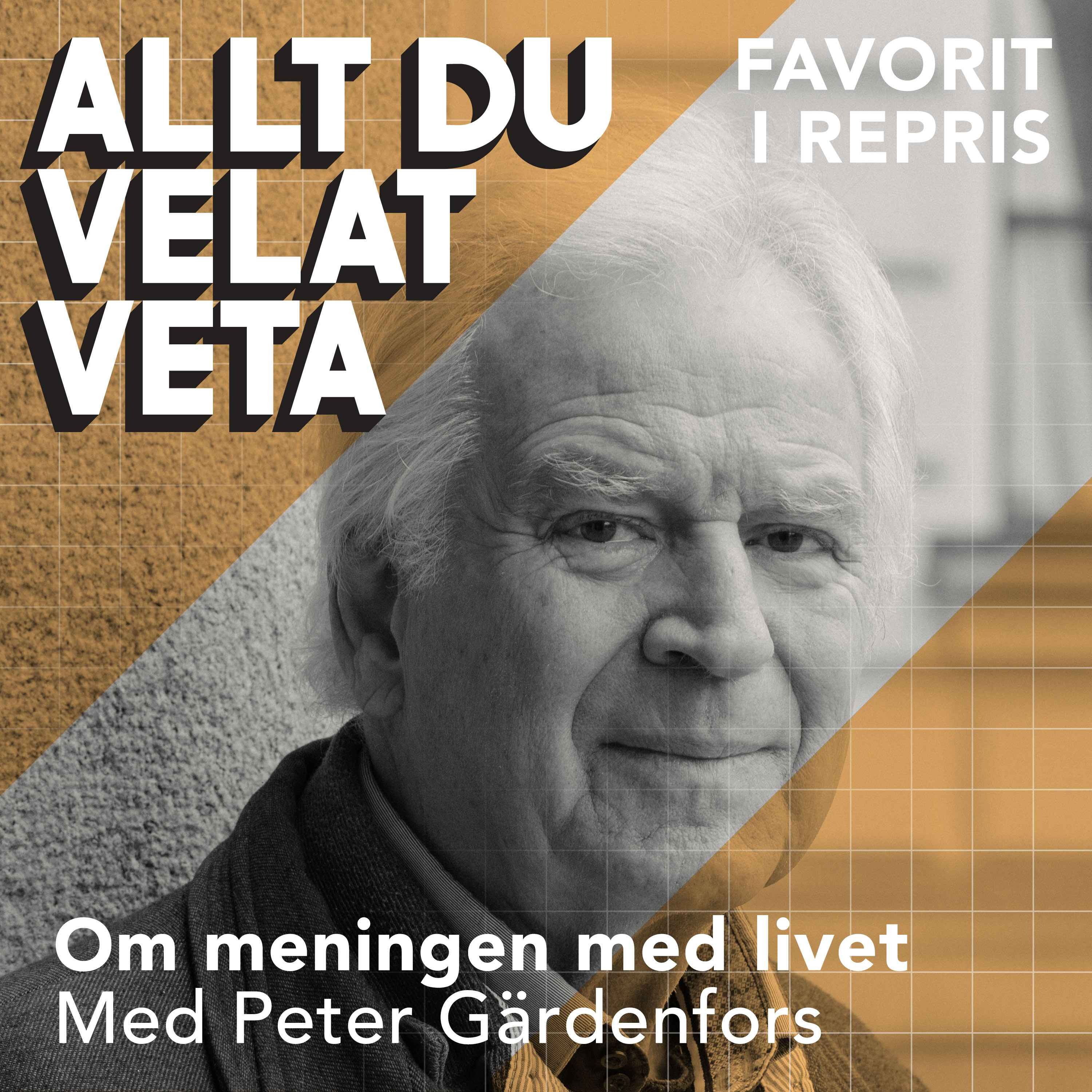 Om meningen med livet med Peter G&auml;rdenfors - REPRIS
