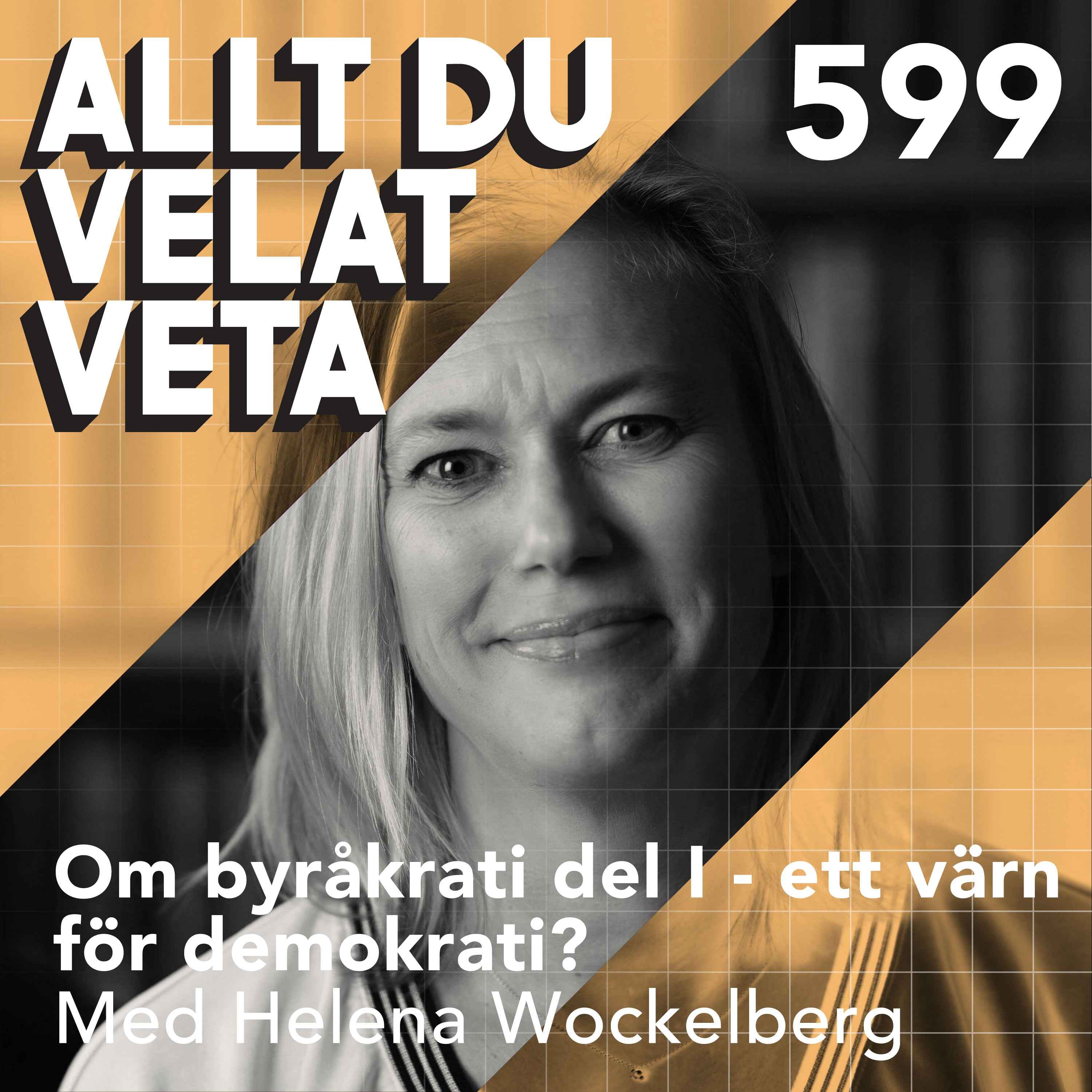 599 Om byråkrati del I - ett värn för demokratin med Helena Wockelberg episode artwork