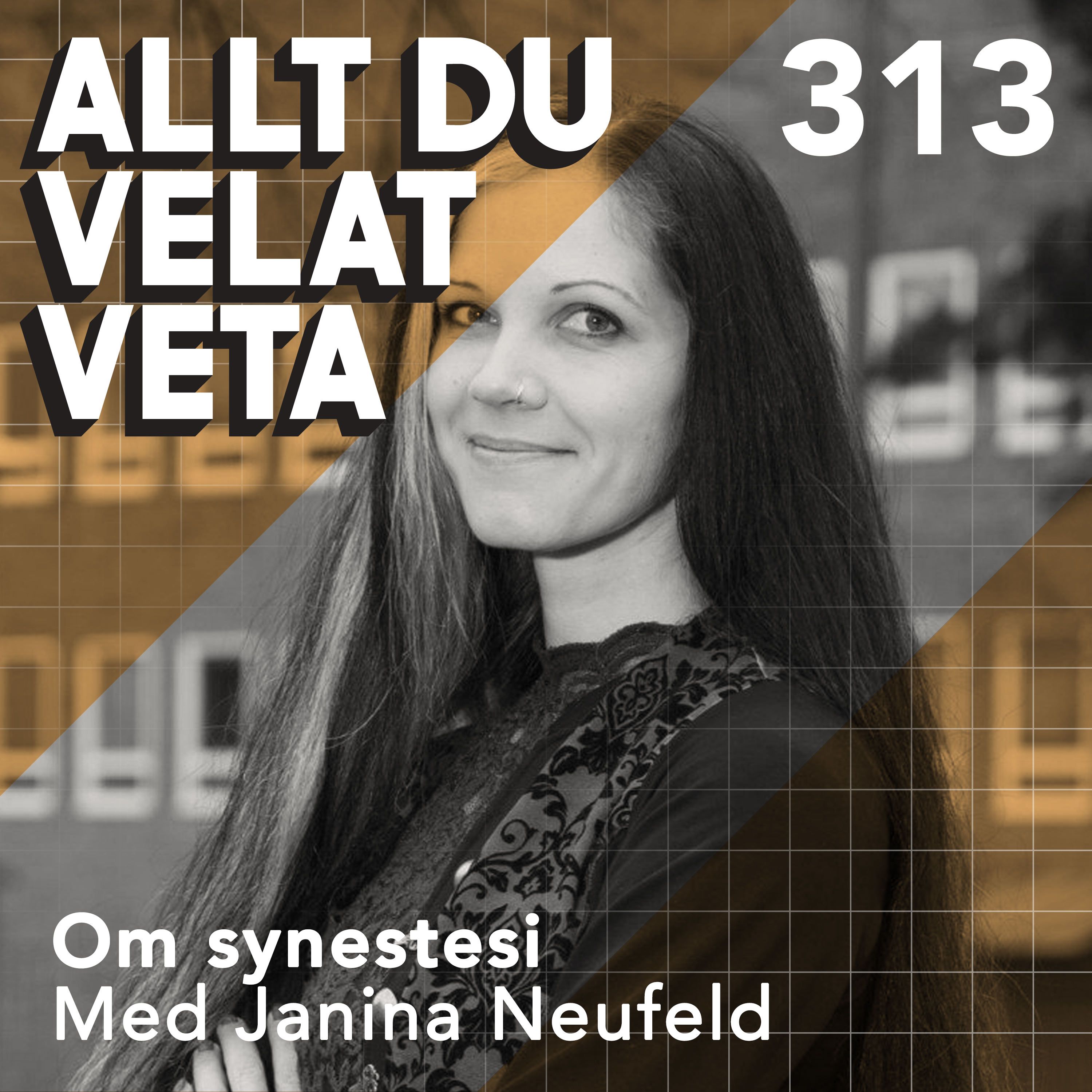 313 Om synestesi med Janina Neufeld