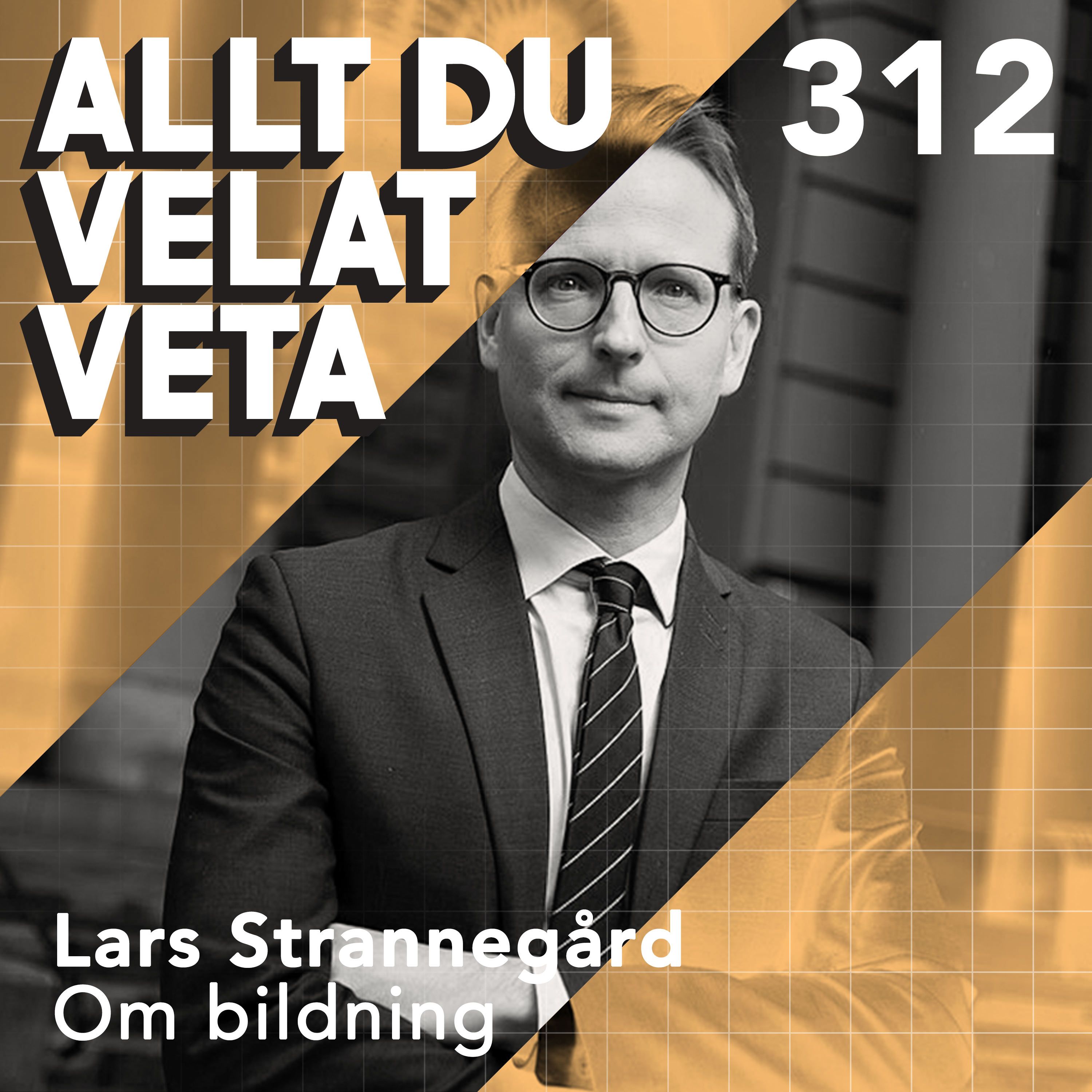 312 Om bildning med Lars Strannegård