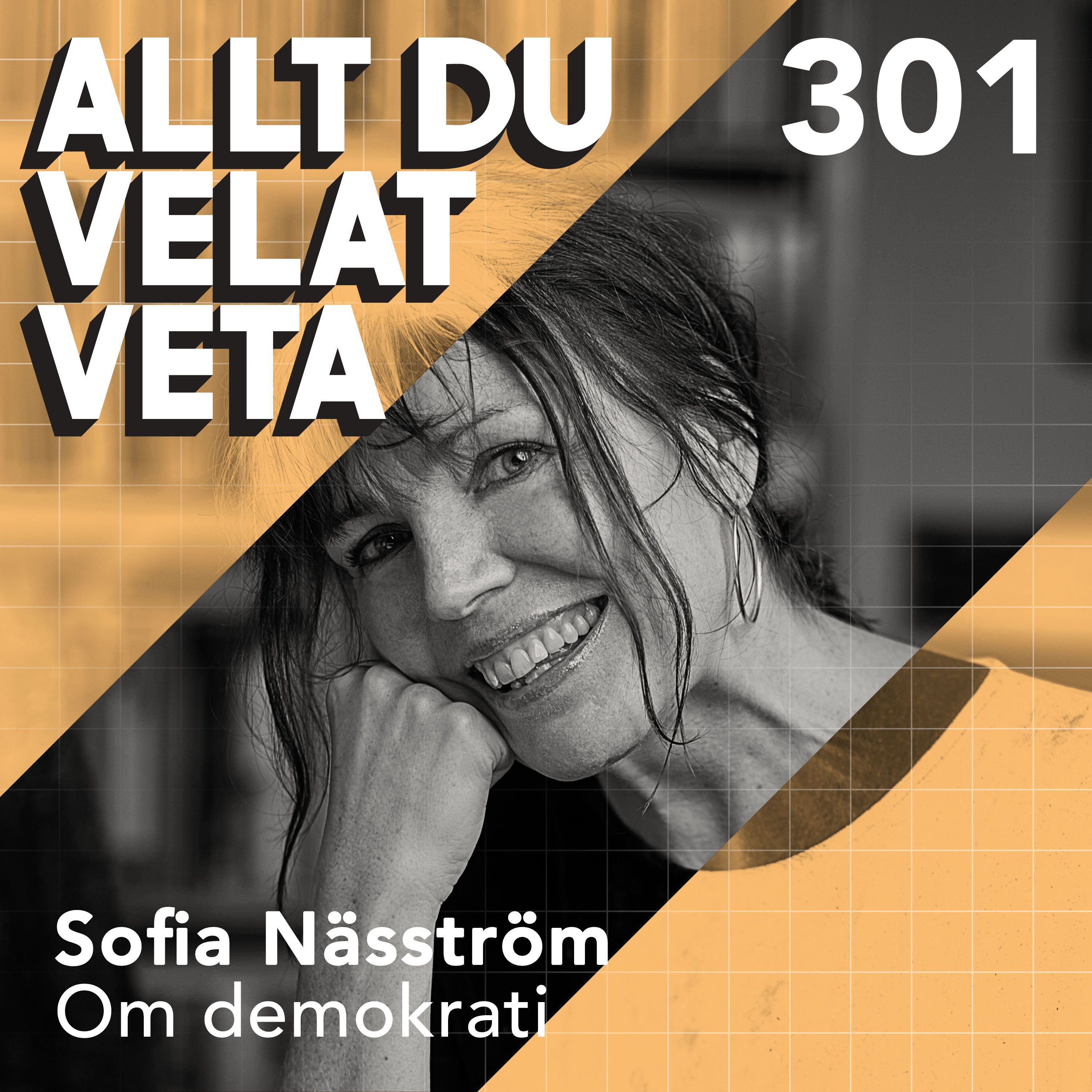 301 Om demokrati med Sofia Näsström