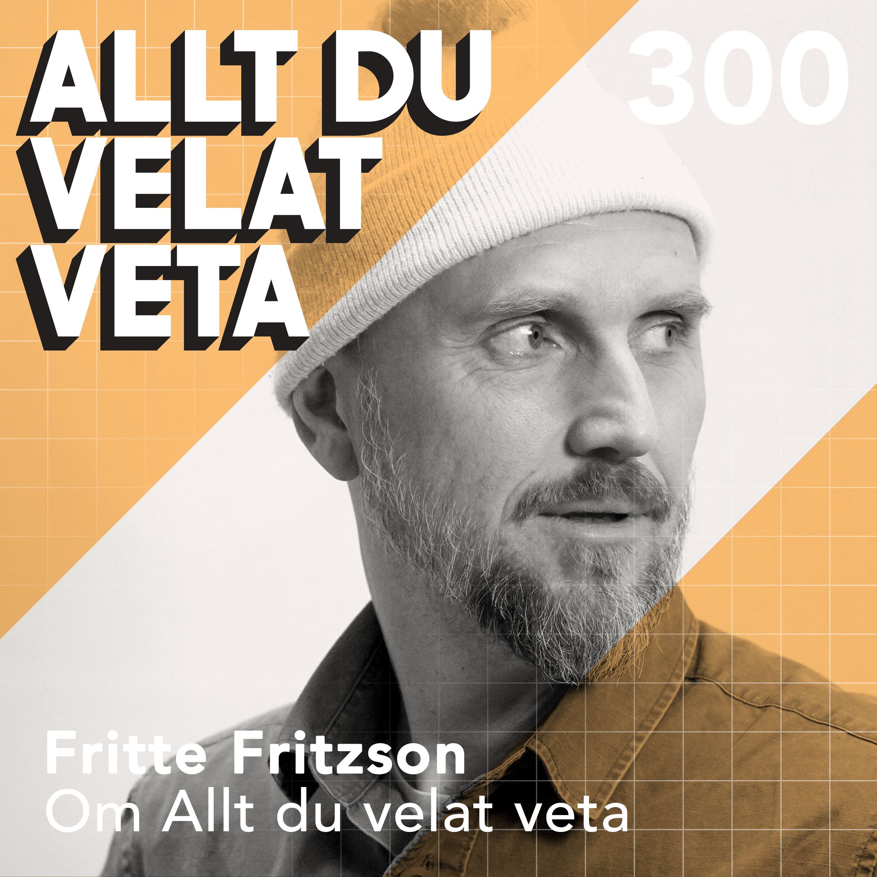 300 Om Allt du velat veta med Fritte Fritzson