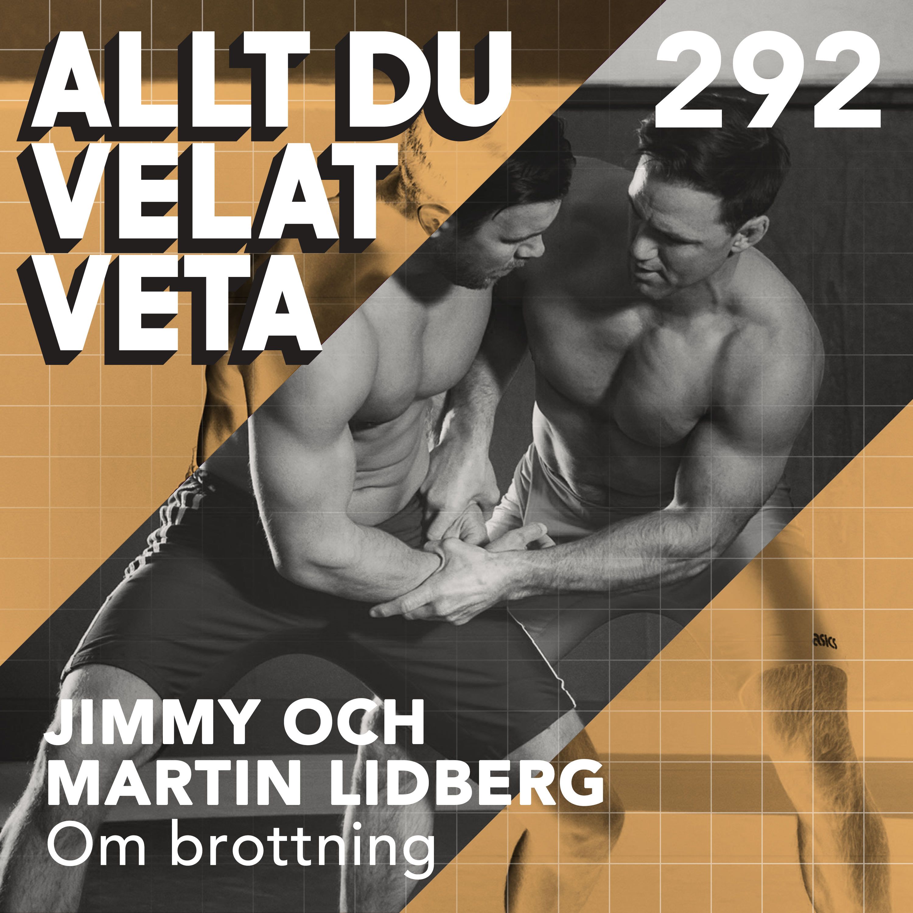 292 Om brottning med Jimmy och Martin Lidberg
