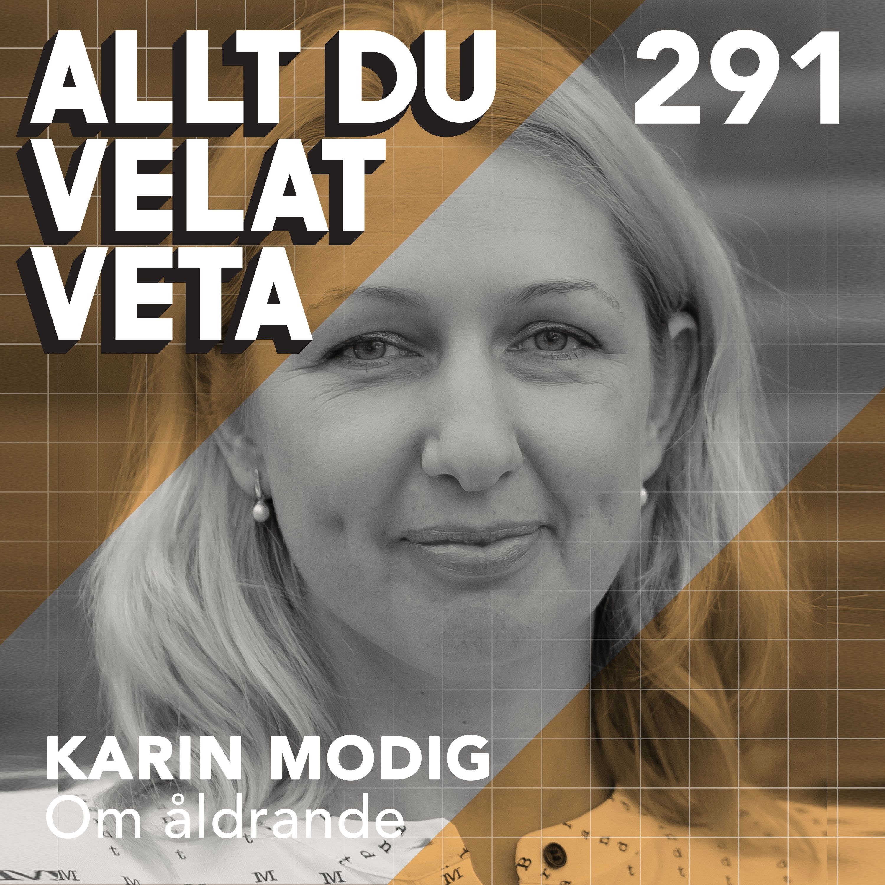 291 Om åldrande med Karin Modig