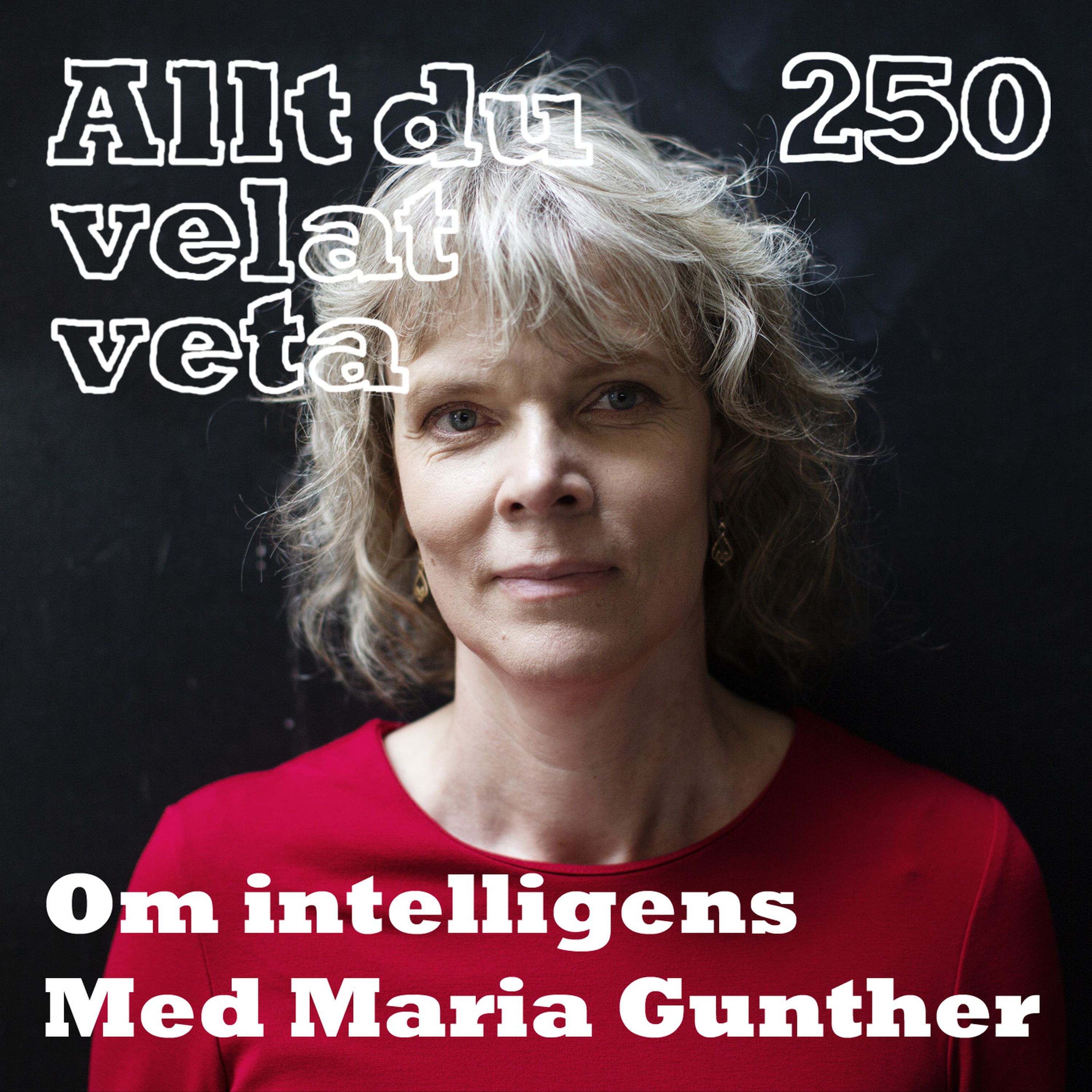 250 Om intelligens med Maria Gunther
