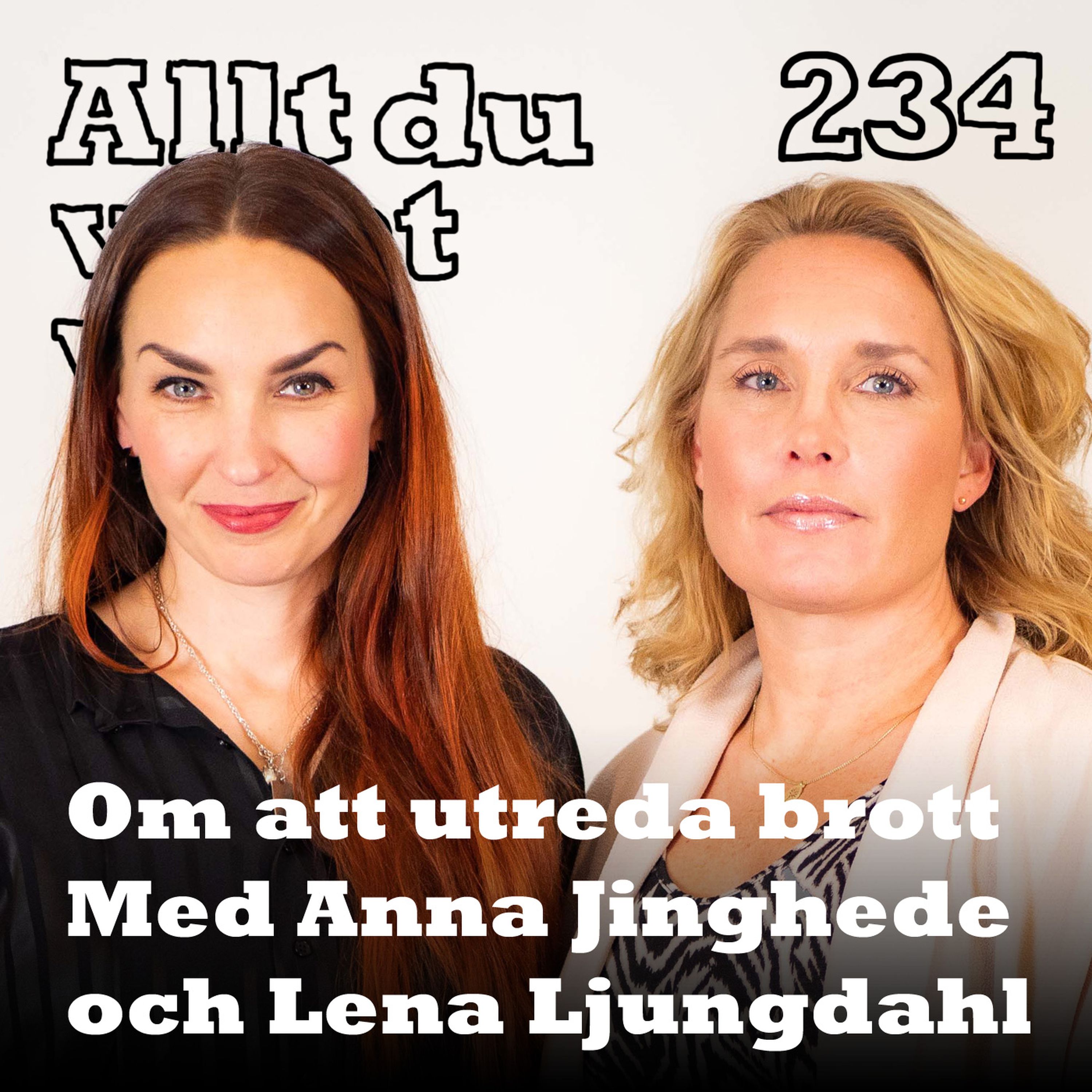 234 Om att utreda brott med Anna Jinghede och Lena Ljungdahl