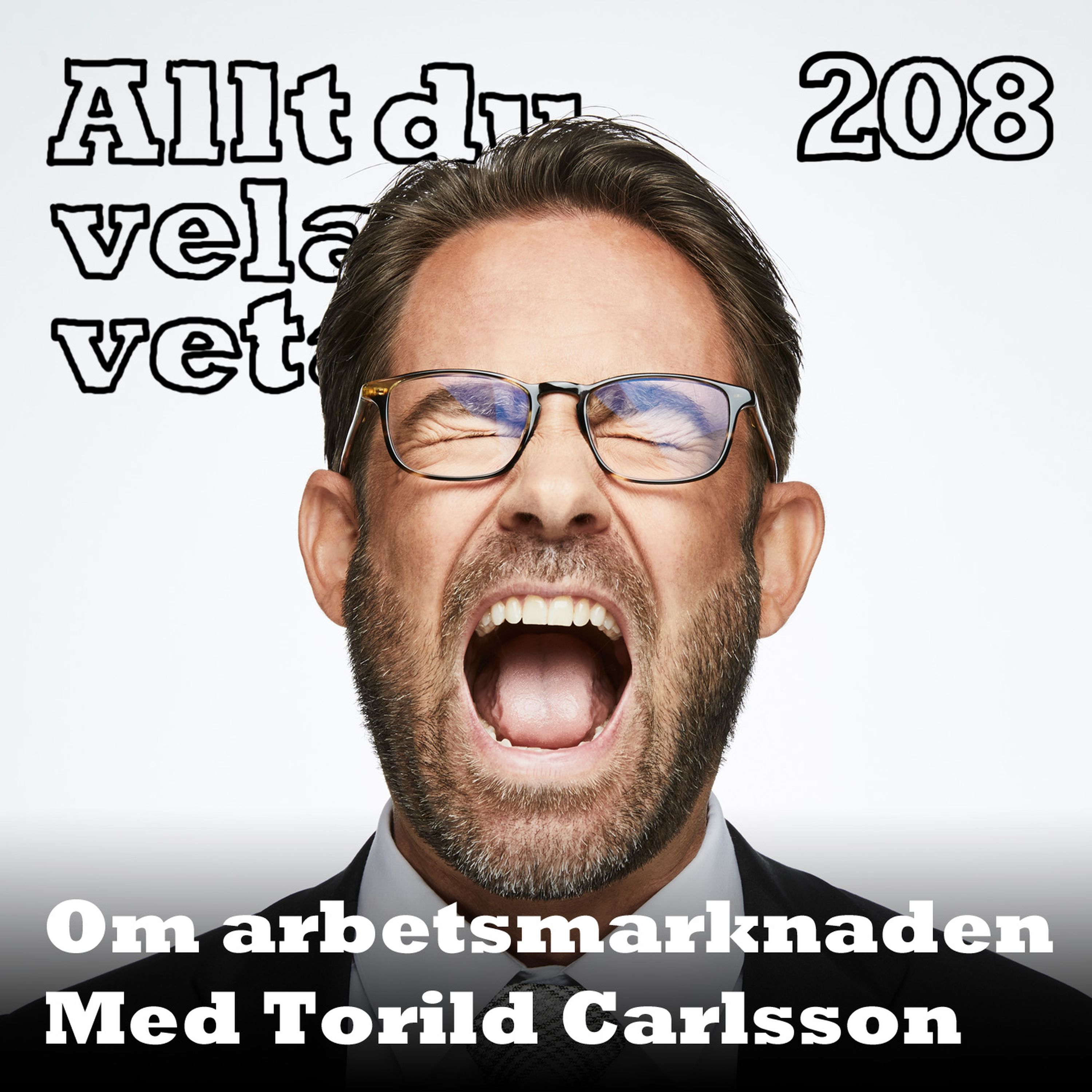 208 Om arbetsmarknaden med Torild Carlsson