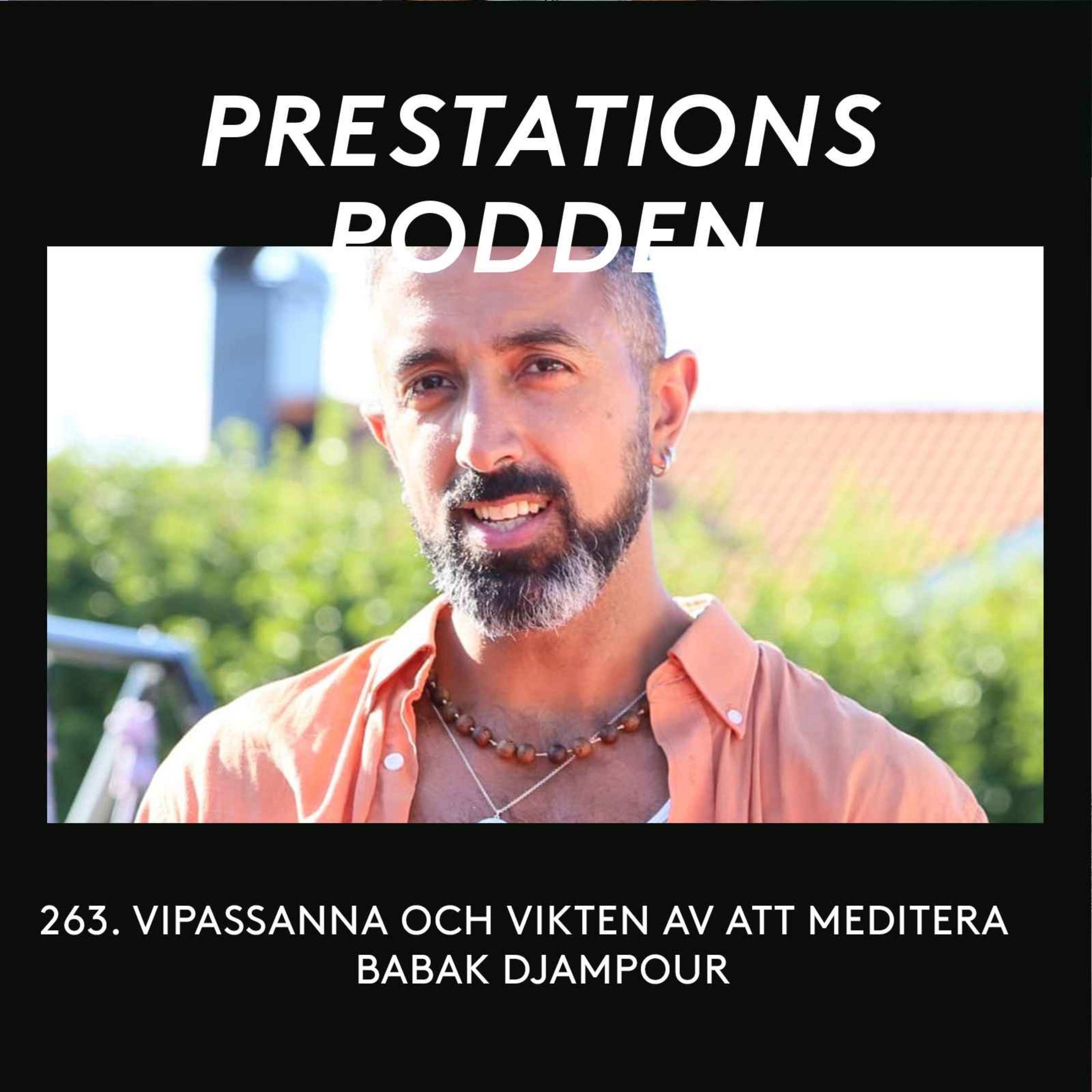 Vipassanna och vikten av att meditera - Babak Djampour episode artwork