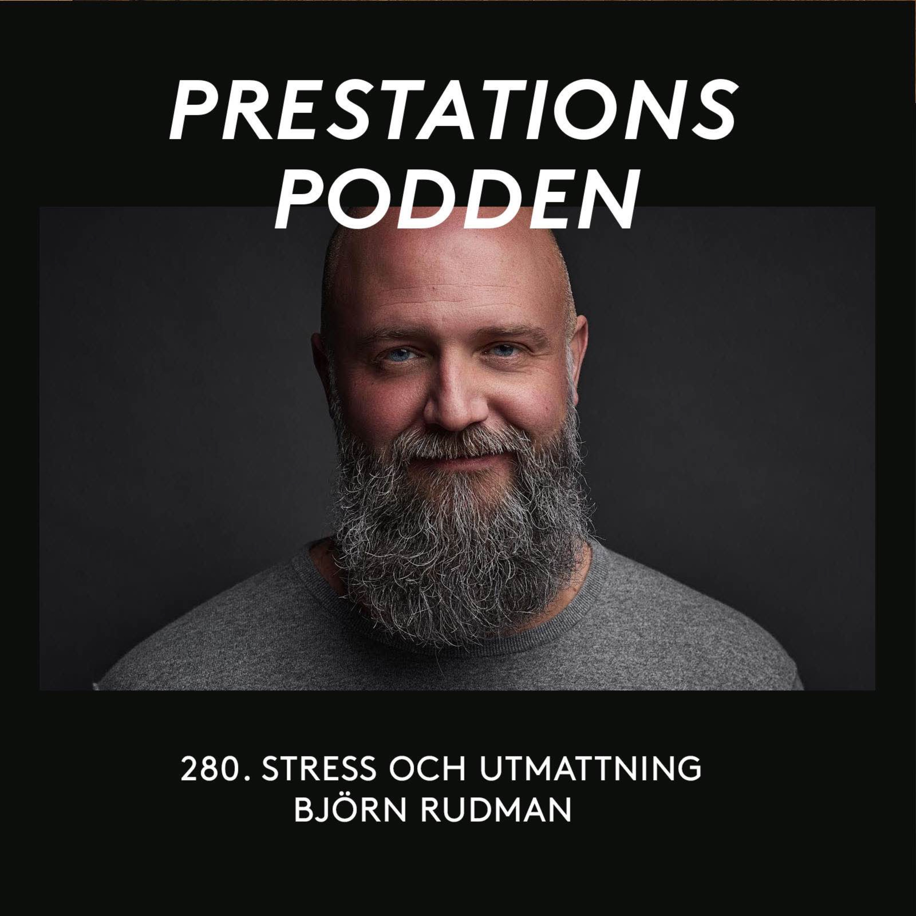 cover art for Stress och utmattning - Björn Rudman