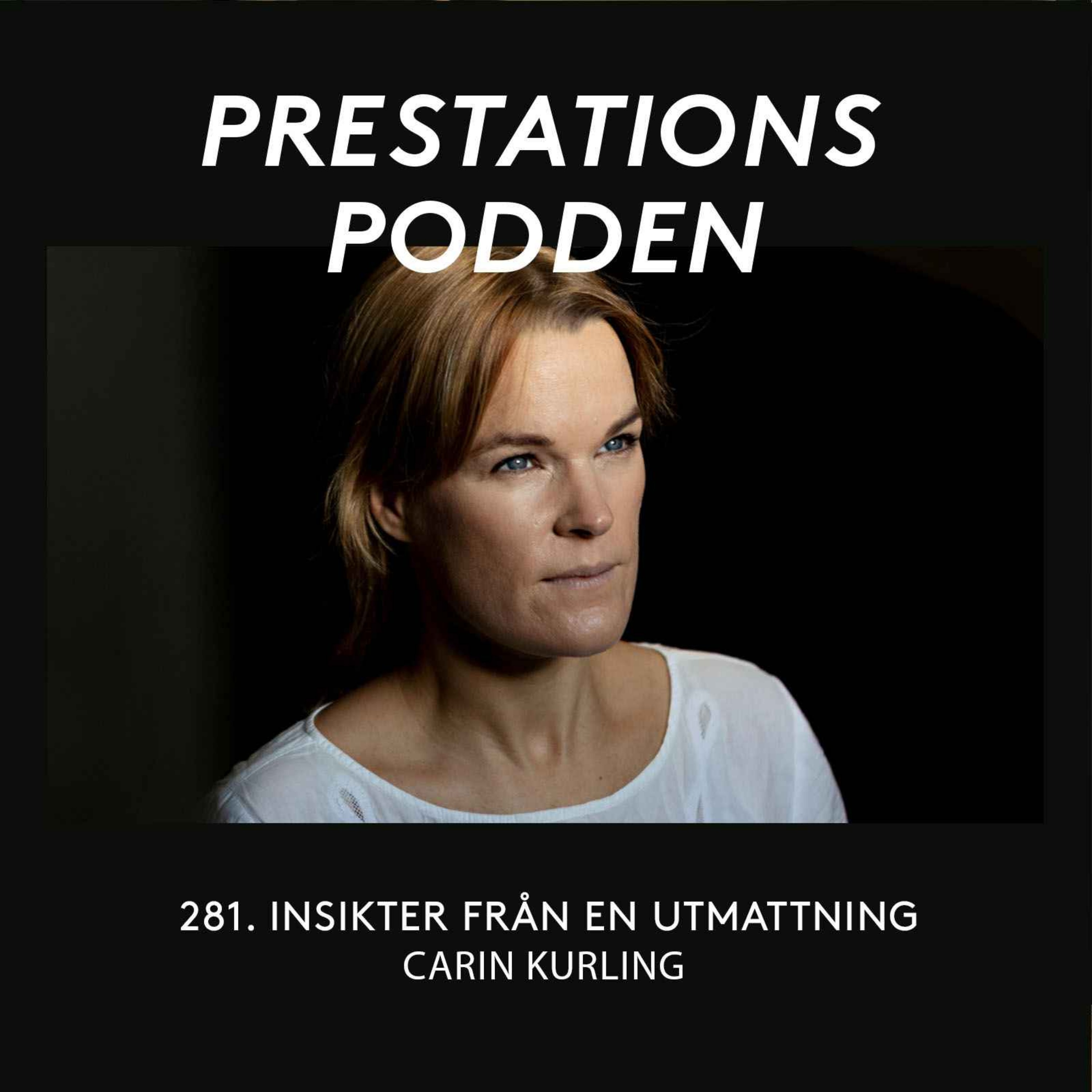 cover art for Insikter från en utmattning - Carin Kurling