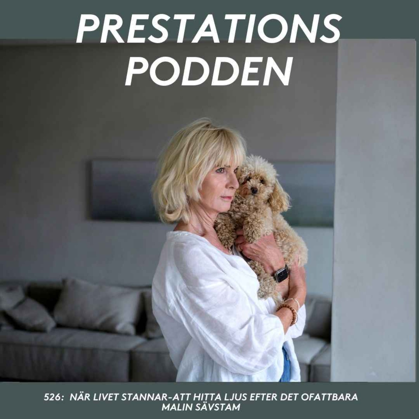 När livet stannar - Att hitta ljus efter det ofattbara - Malin Sävstam