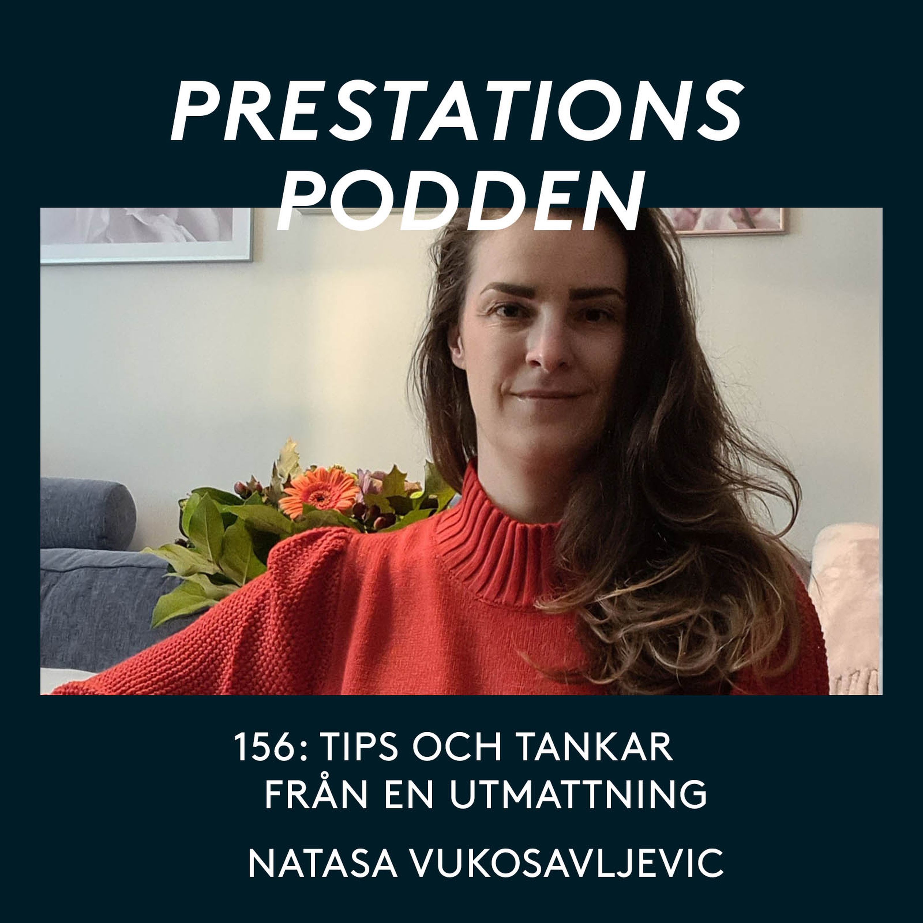 Tips och tankar från en utmattning episode artwork