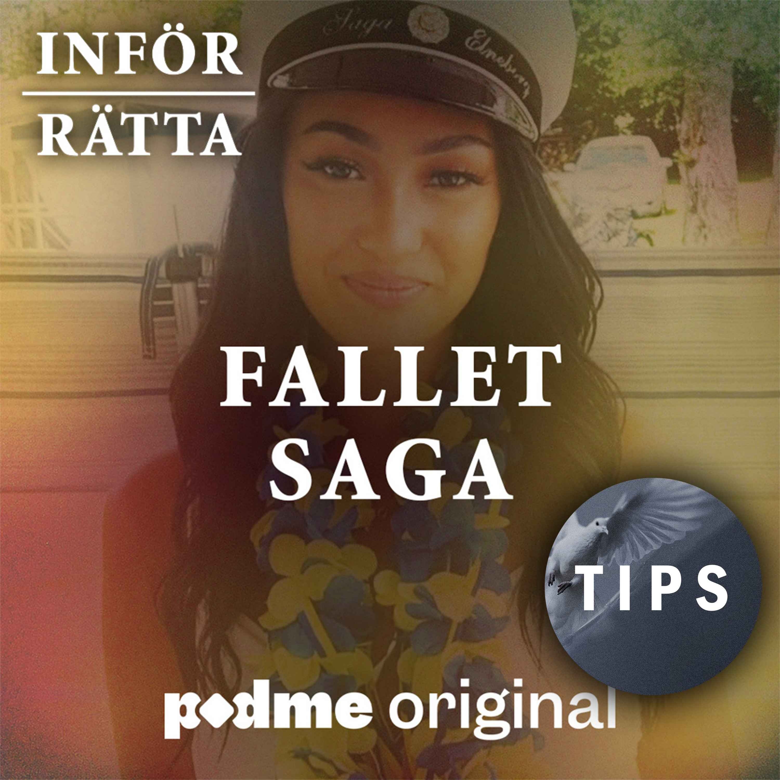 Fallet Saga - Del 2/2 episode artwork