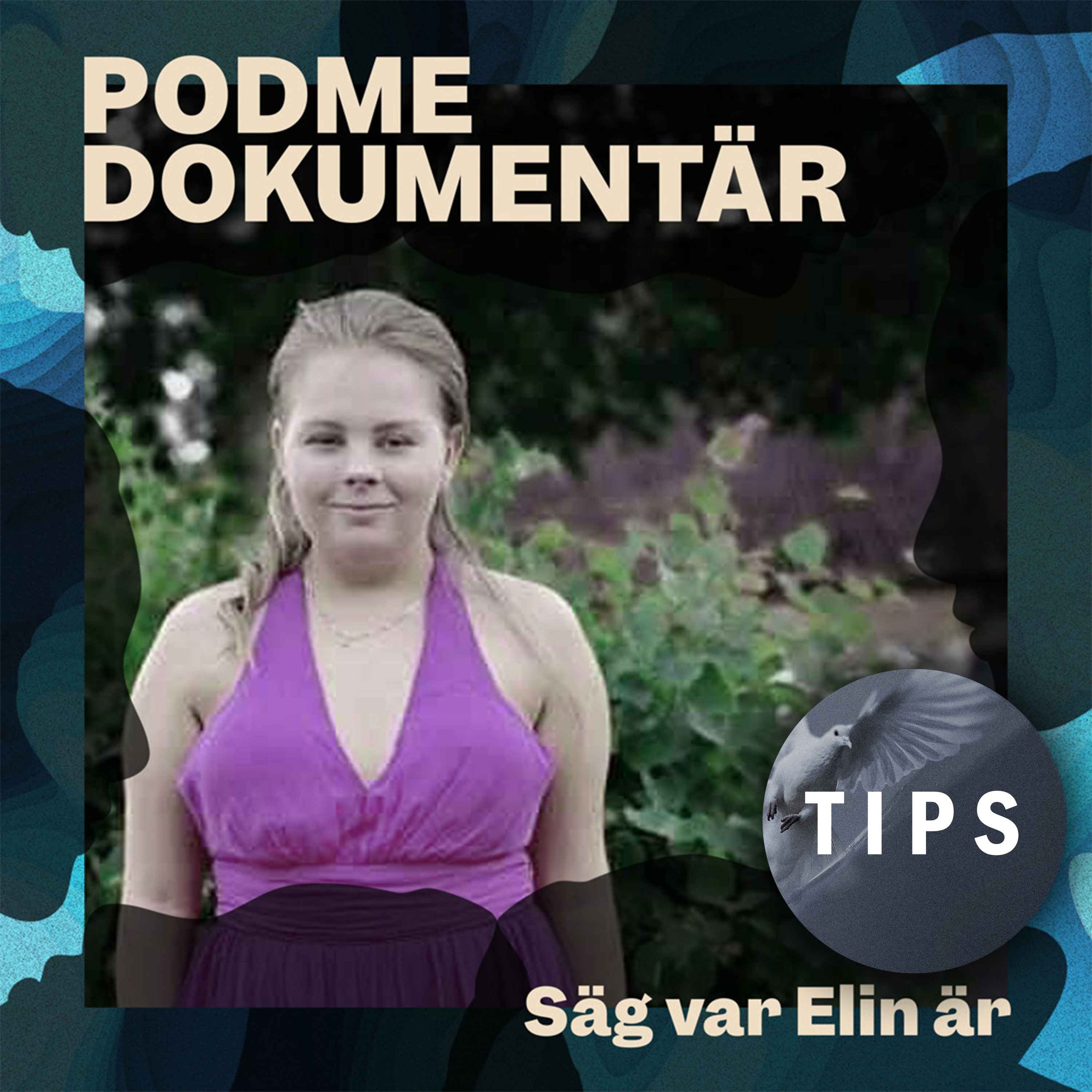 Säg var Elin är – Del 1: Ficklampor i mörkret