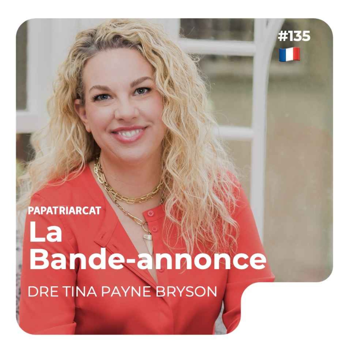 🇫🇷 BANDE ANNONCE #135 - La discipline sans drame - Dre Tina Payne Bryson - podcast episode cover