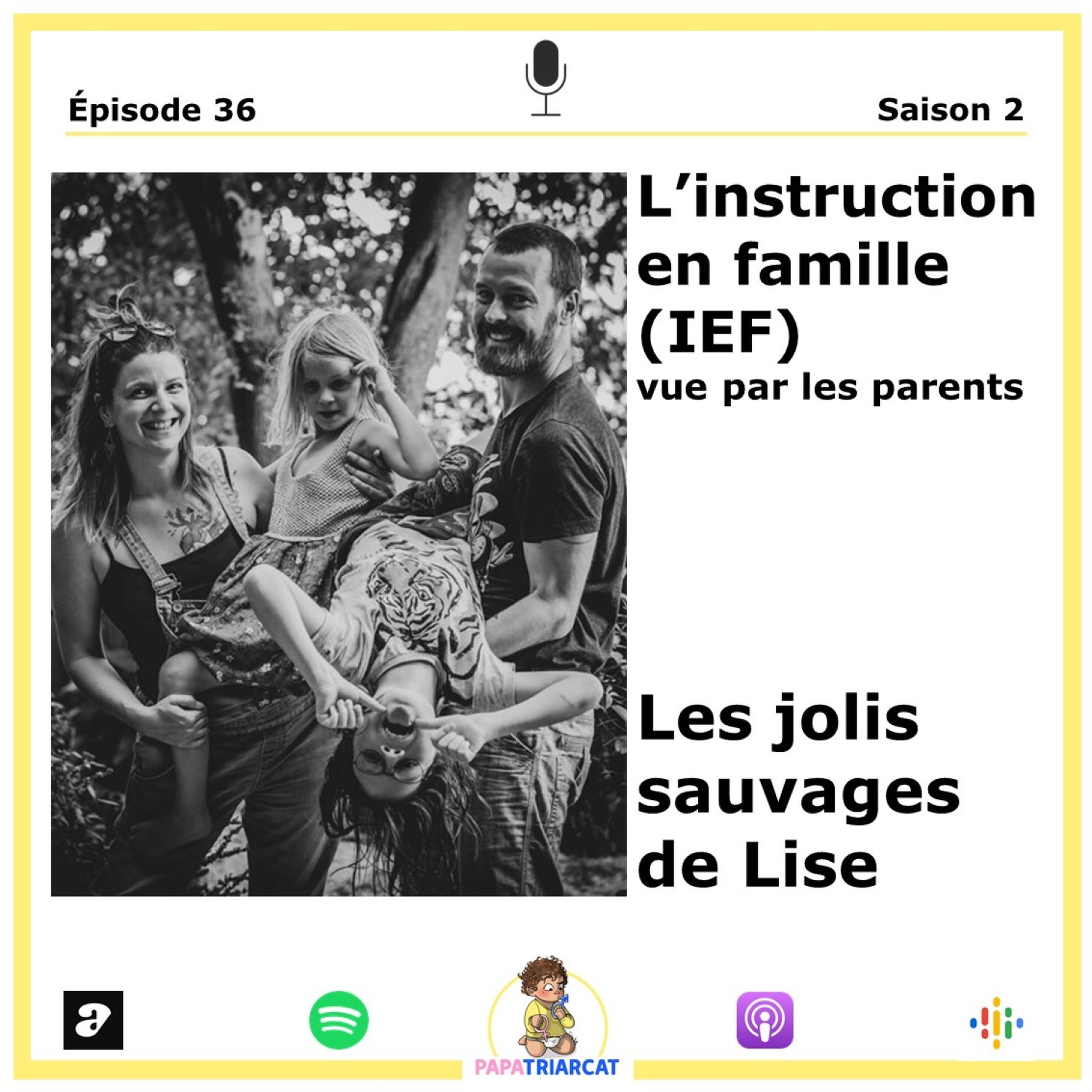 #36 - IEF - Les jolis sauvages de Lise Desportes