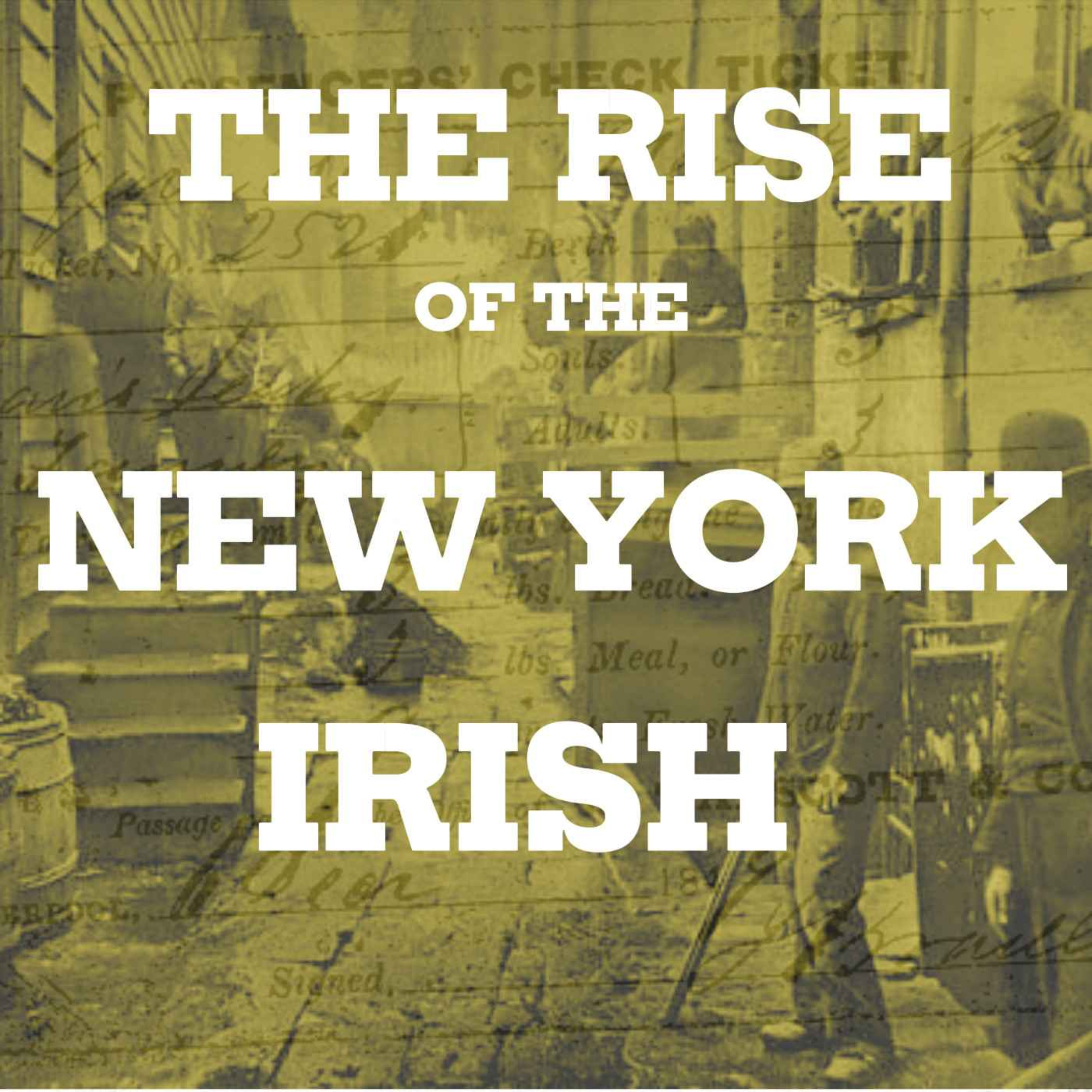 cover art for The Rise of the Irish in New York