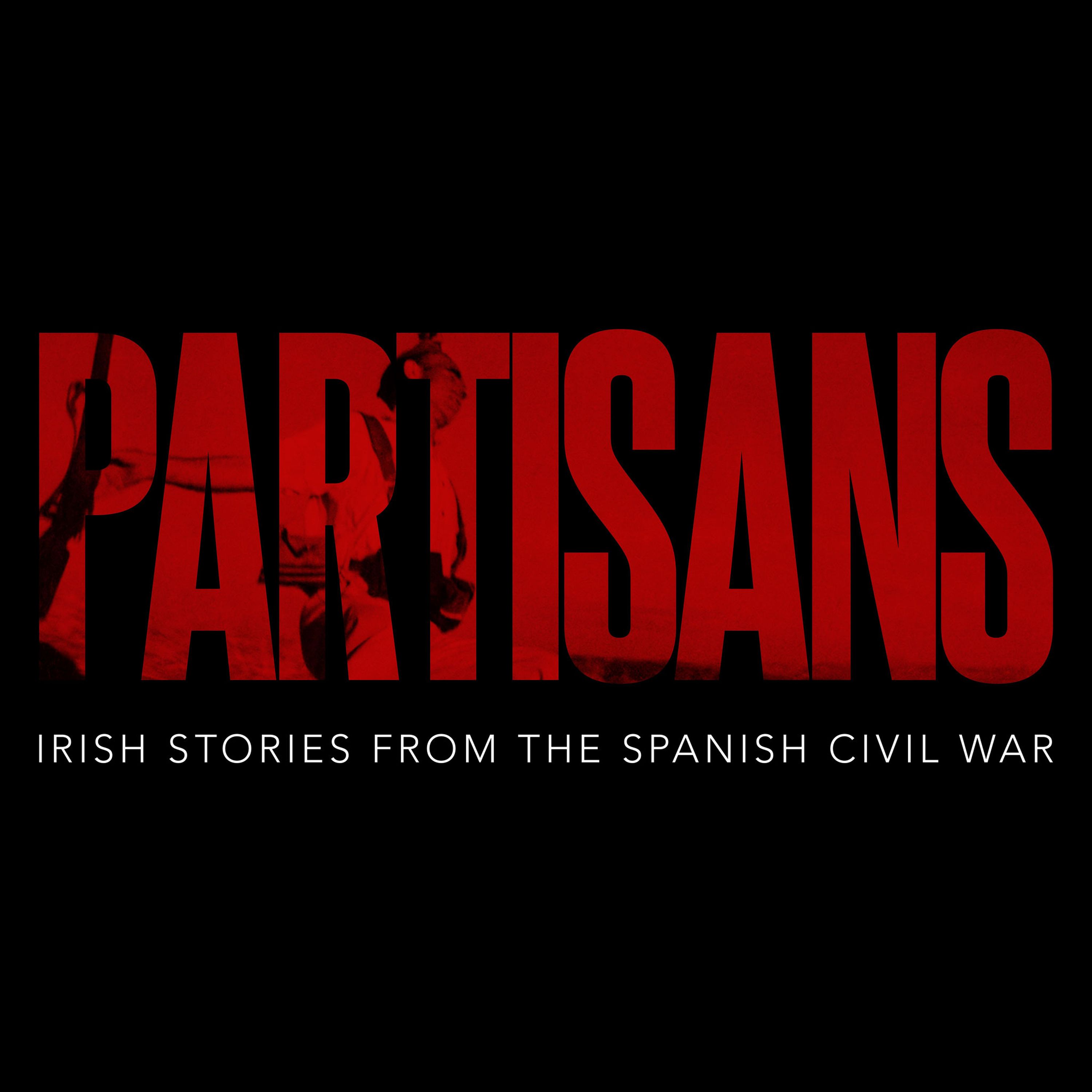 The Irish Fascist Partisan  (Partisans #2)