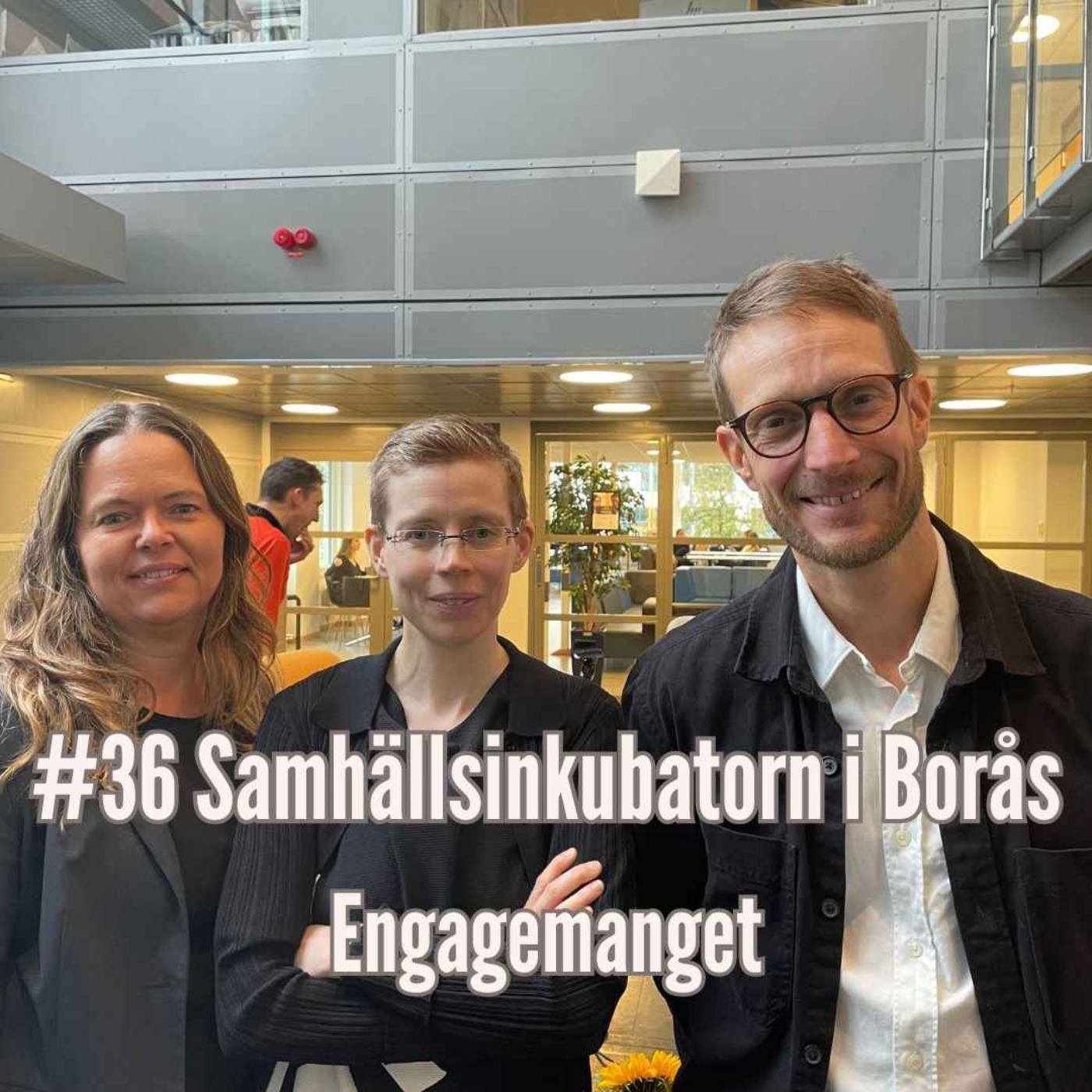 cover art for Samhällsinkubatorn i Borås! 