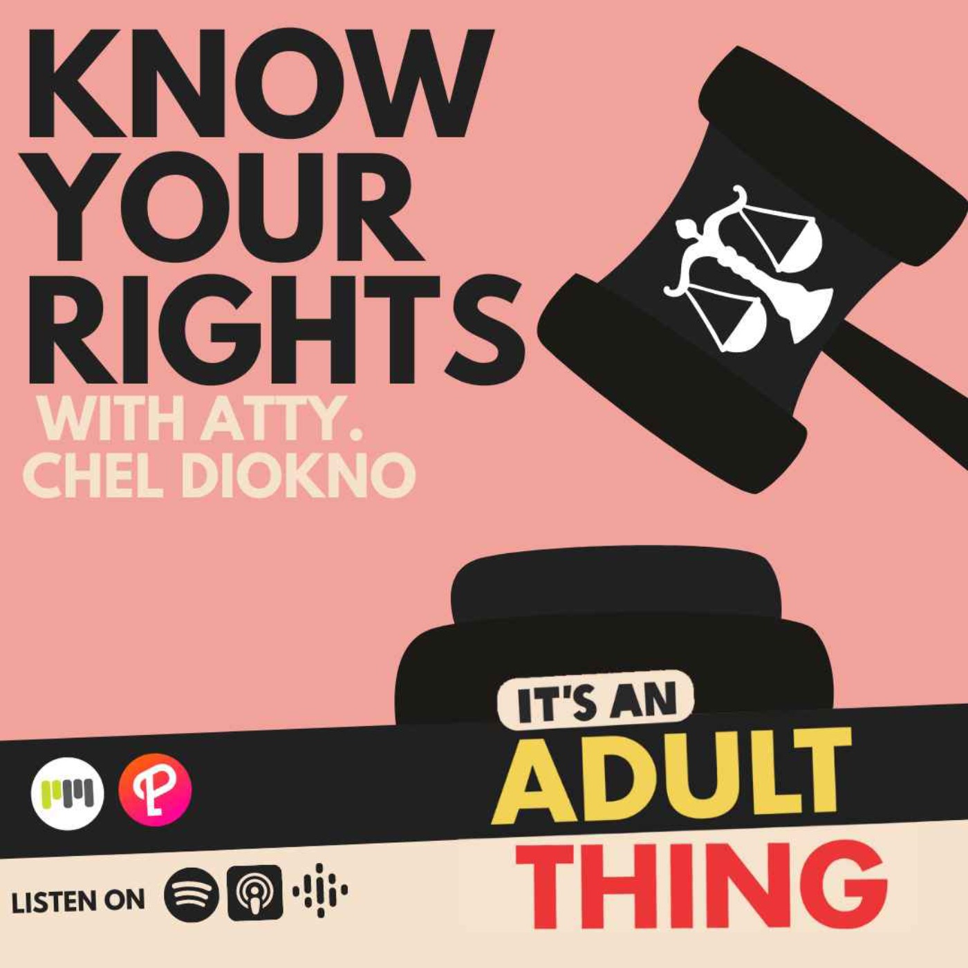 Know Your Rights w/ Atty. Chel Diokno (REVISITED) - podcast episode cover