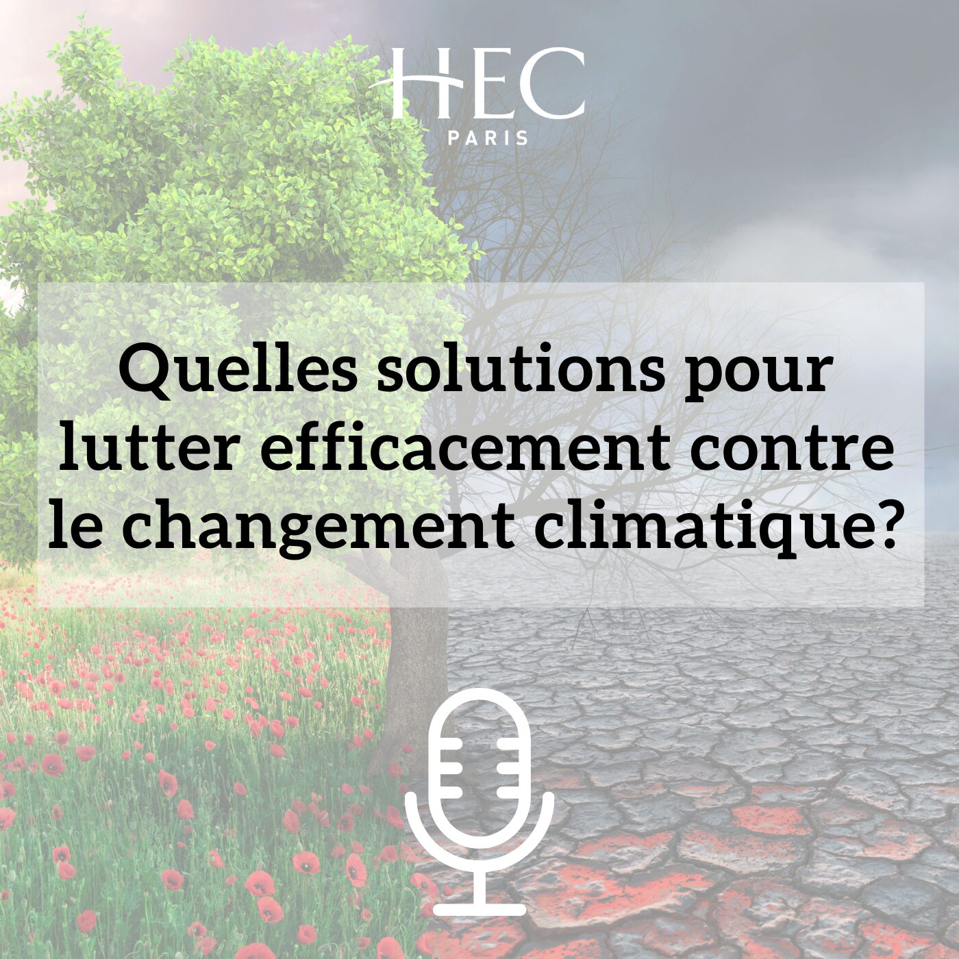 Knowledge@HEC