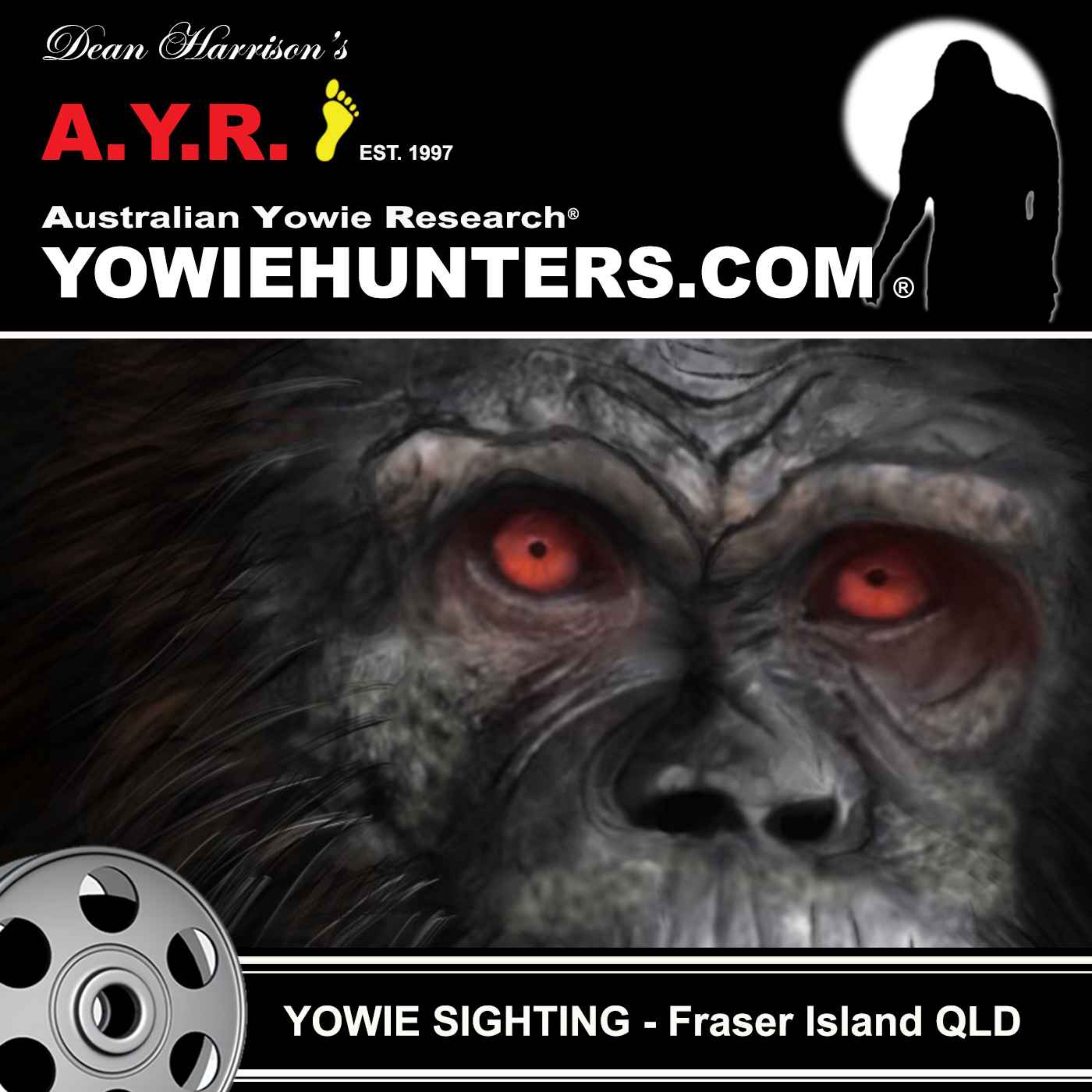 Yowie Sighting at Fraser Island, Queensland - 1983