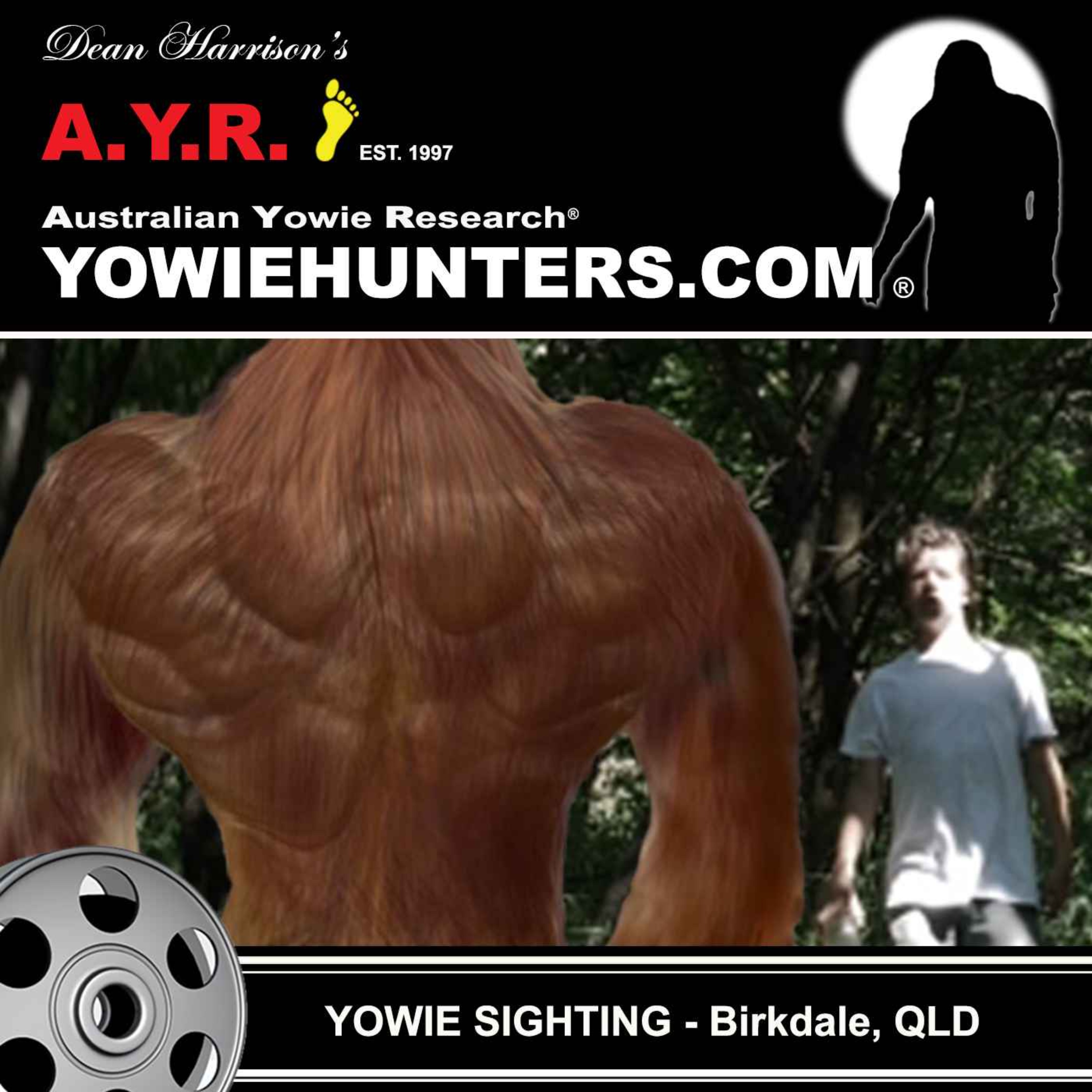 Yowie Sightings at Birkdale, Queensland 1990