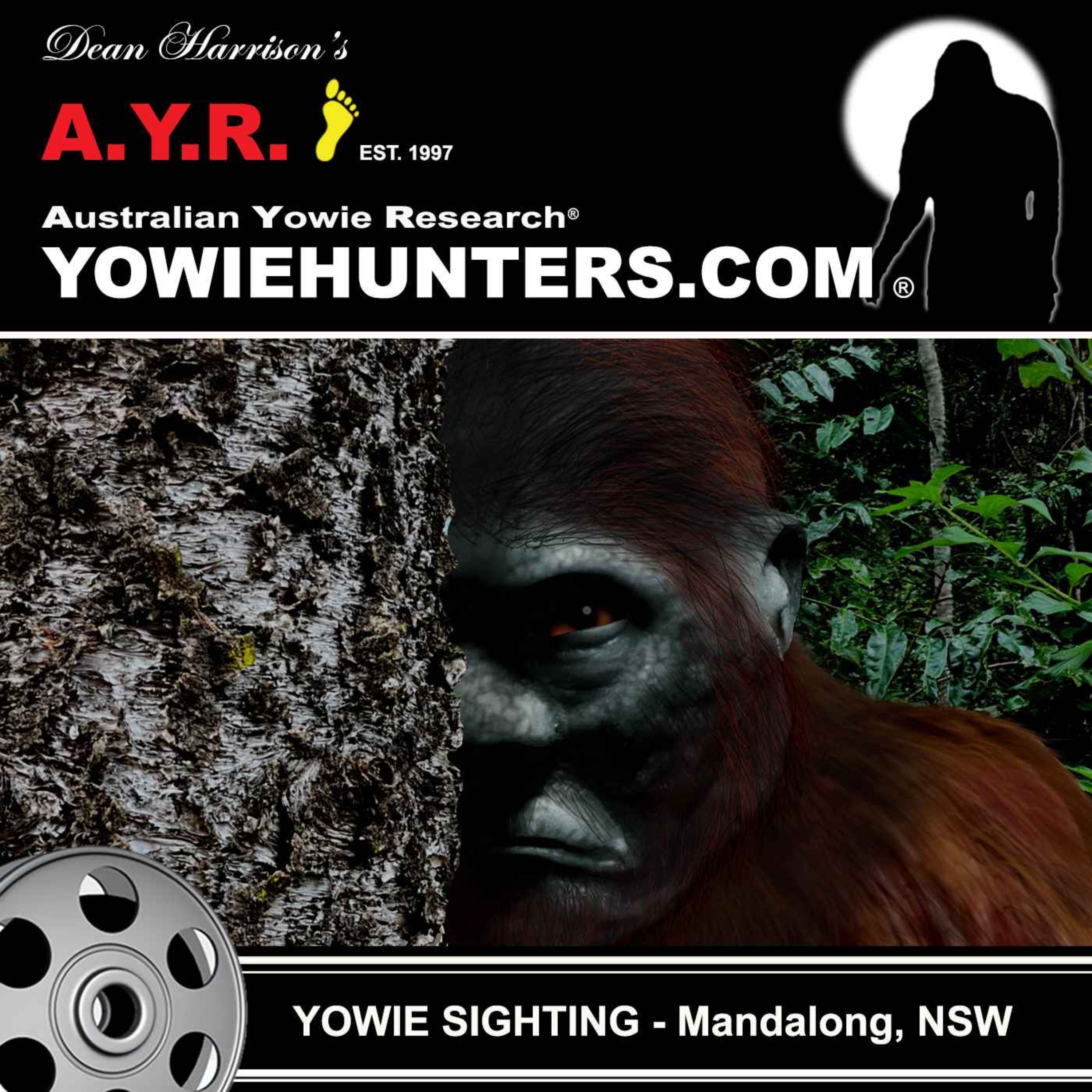 Yowie Sightings at Mandalong, New South Wales 2019
