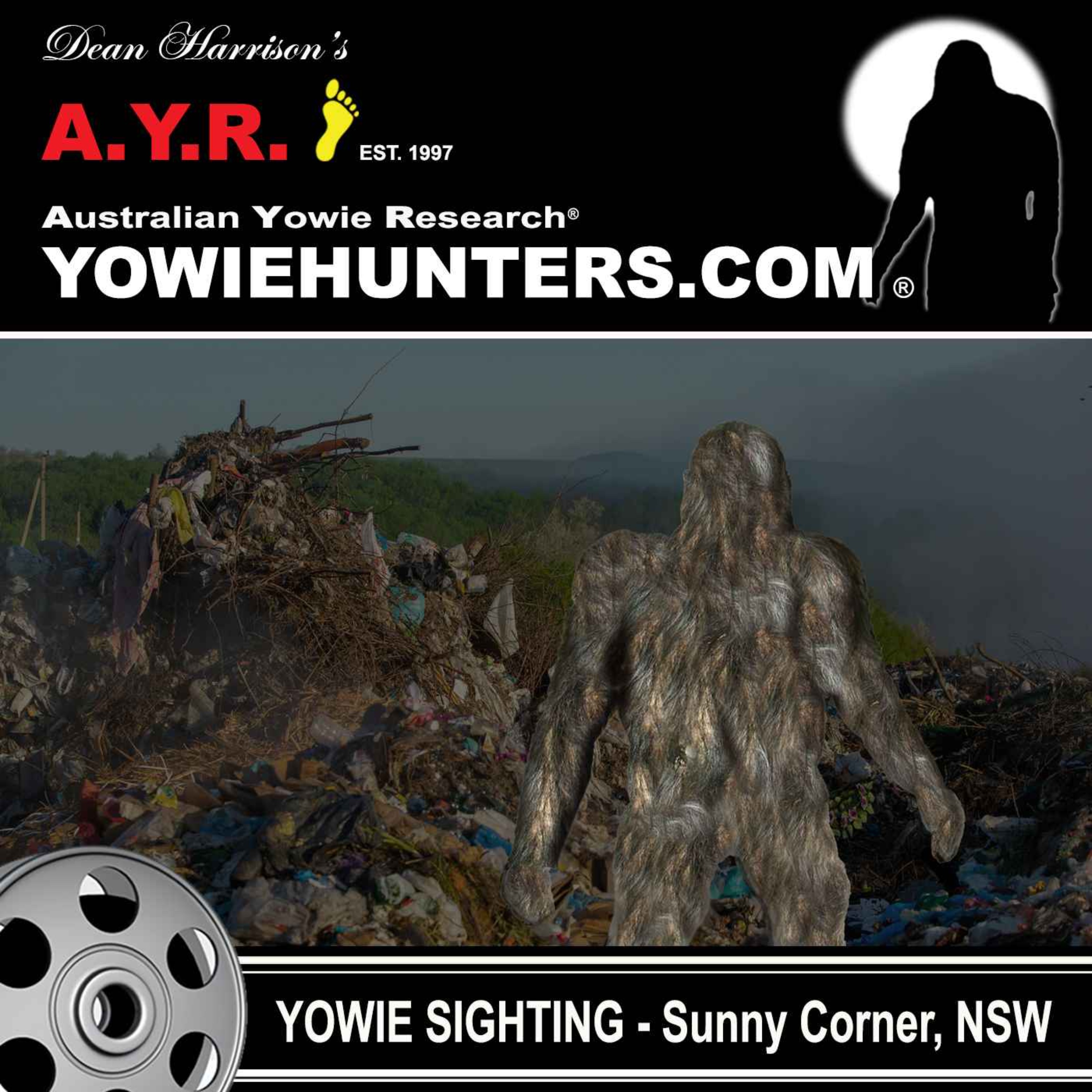Yowie Sighting at Sunny Corner, New South Wales 1982