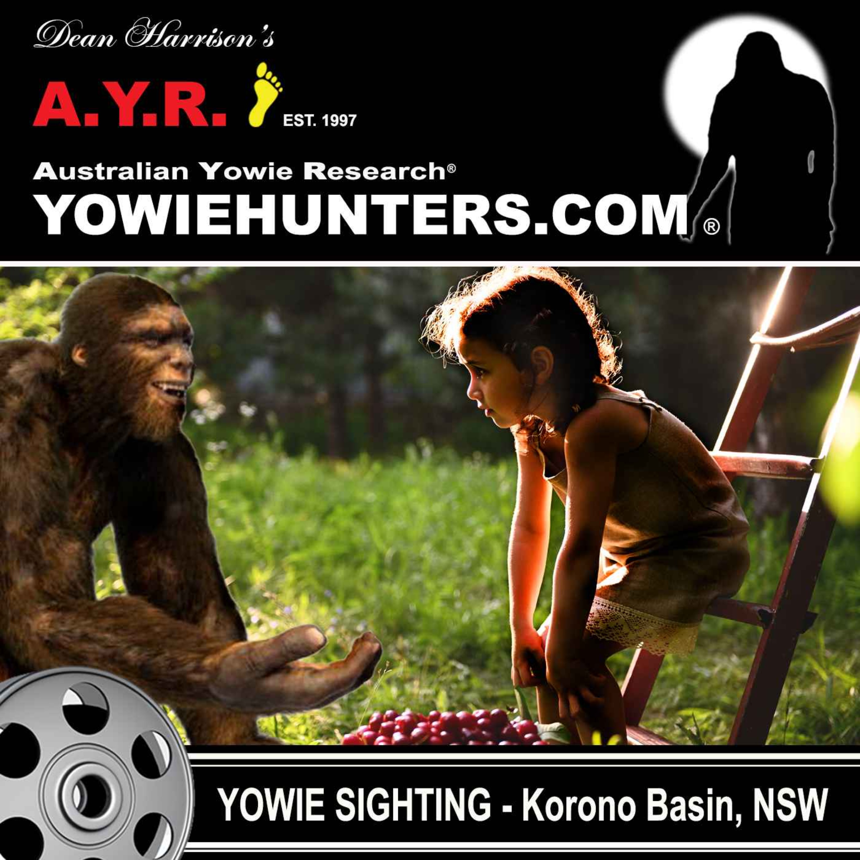 Yowie Sighting at Korono Basin (Coffs Harbour), New South Wales 1980