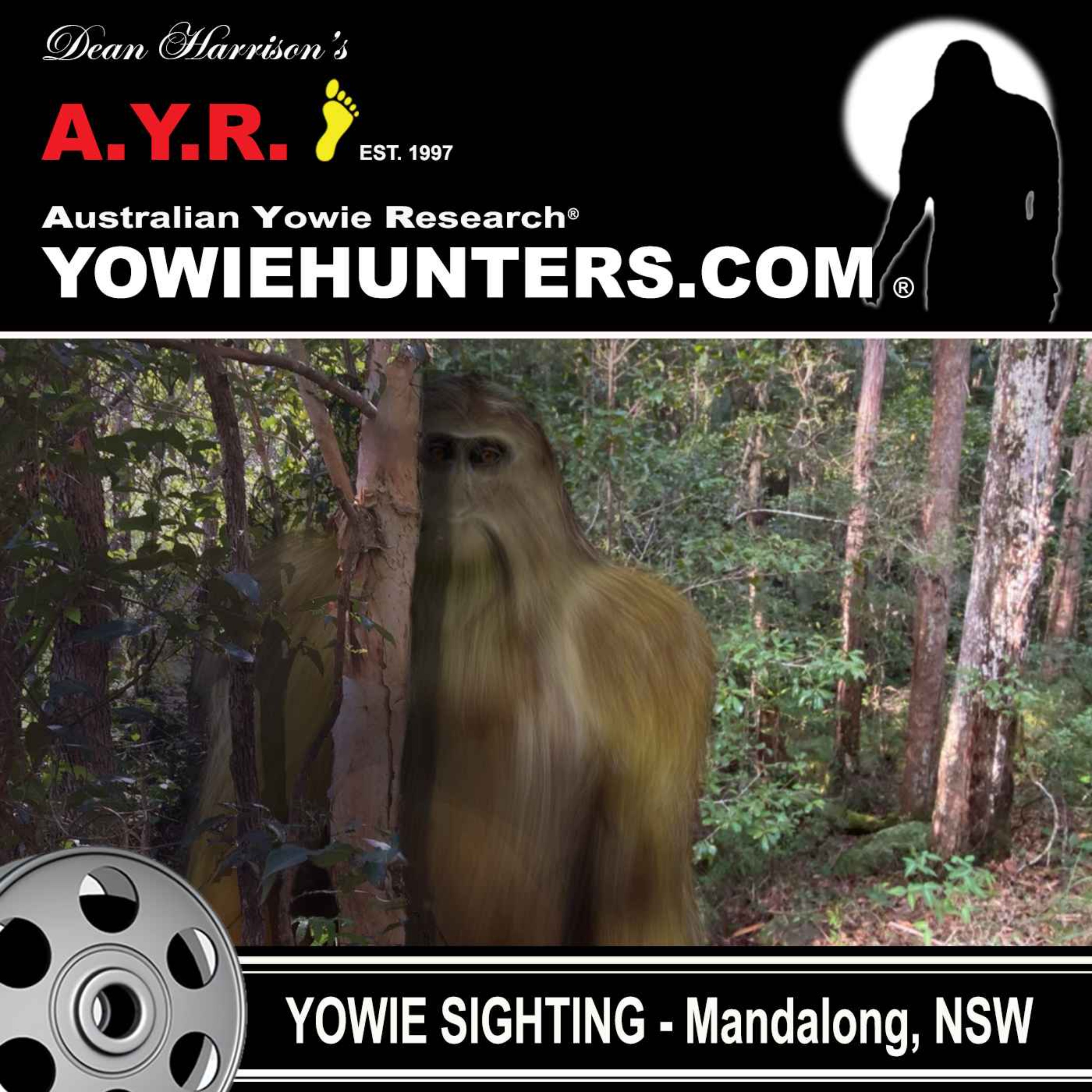 Yowie Sighting at Mandalong, New South Wales 2021