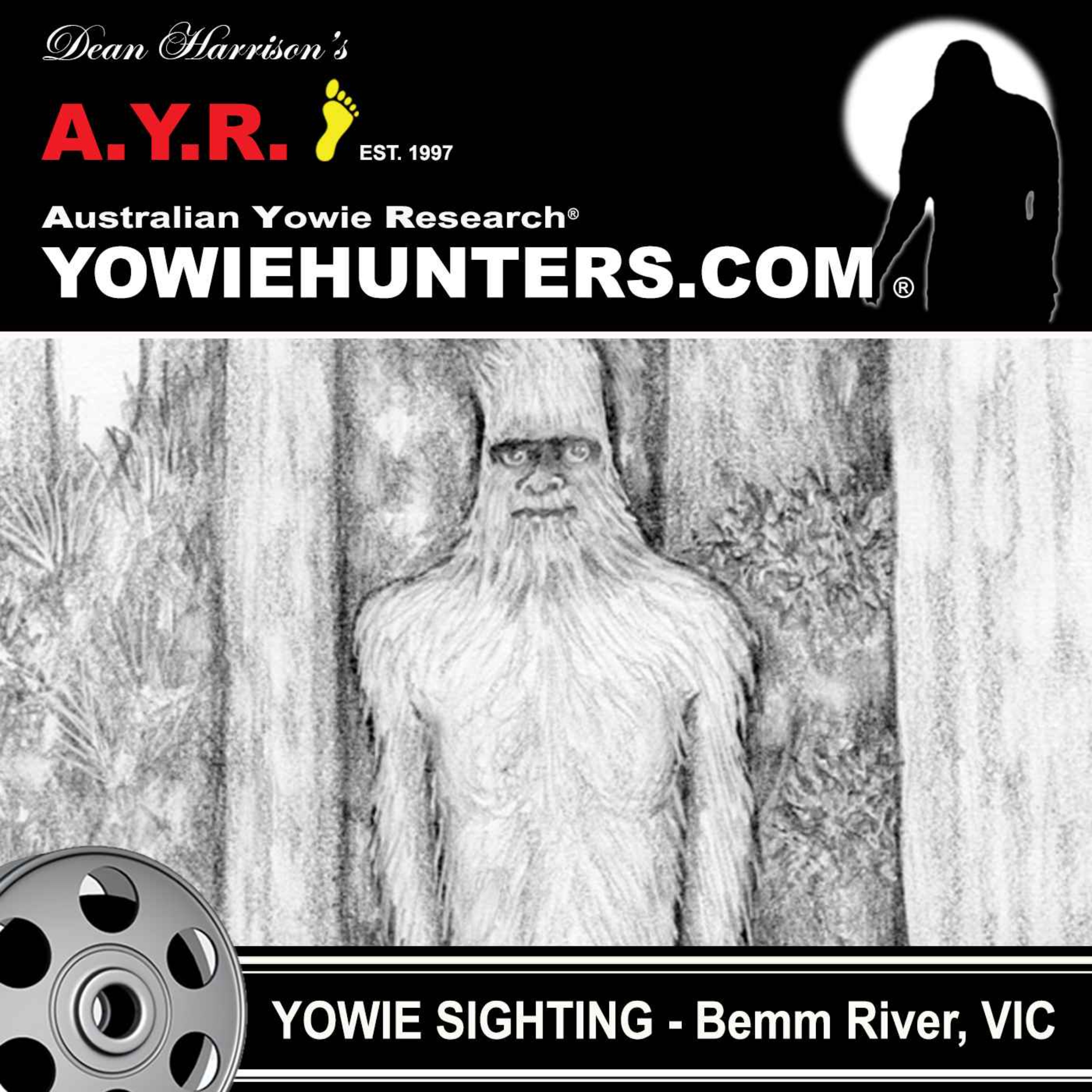 Yowie Sighting at the Bemm River, Victoria 2007