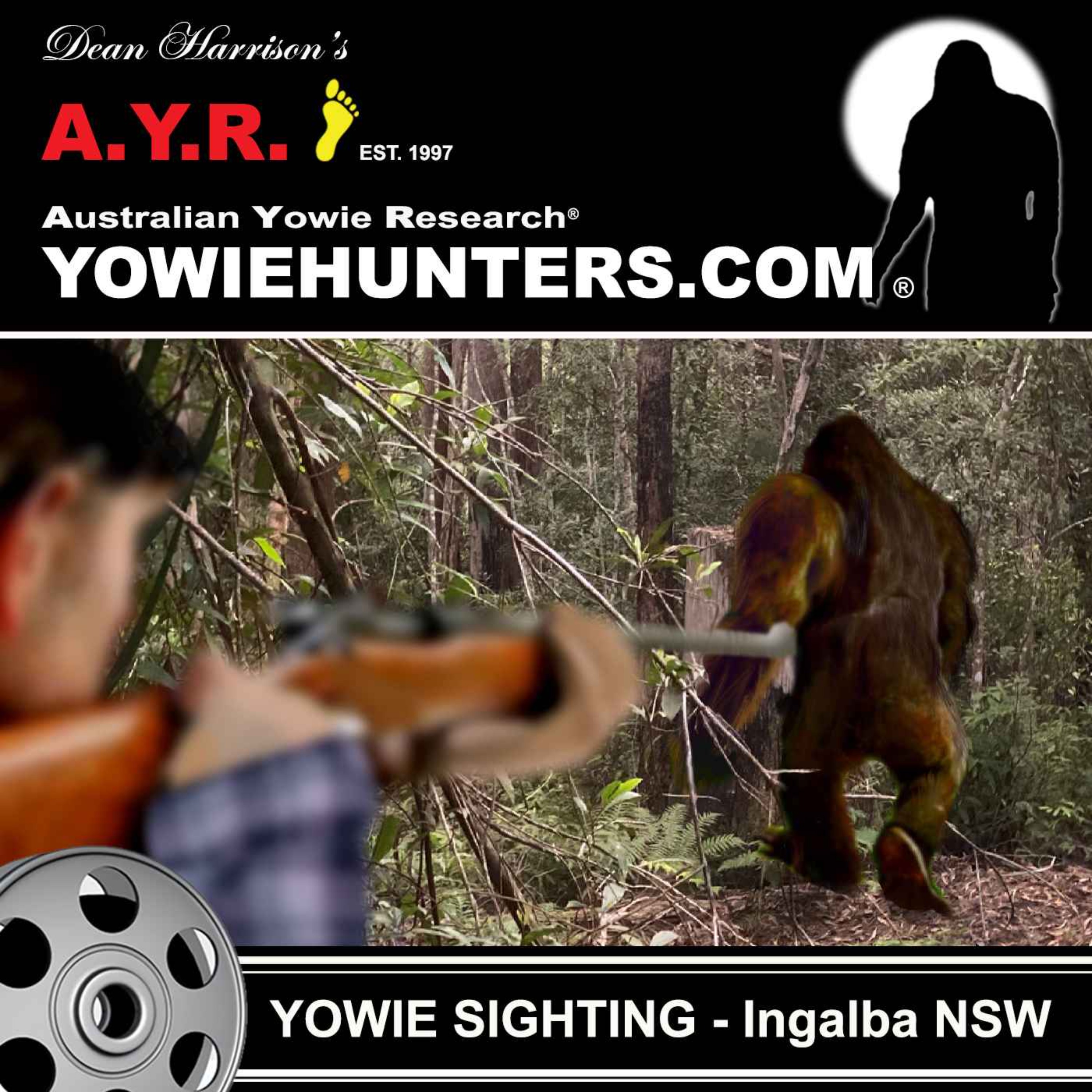 Yowie Sighting at Ingalba, New South Wales 1993