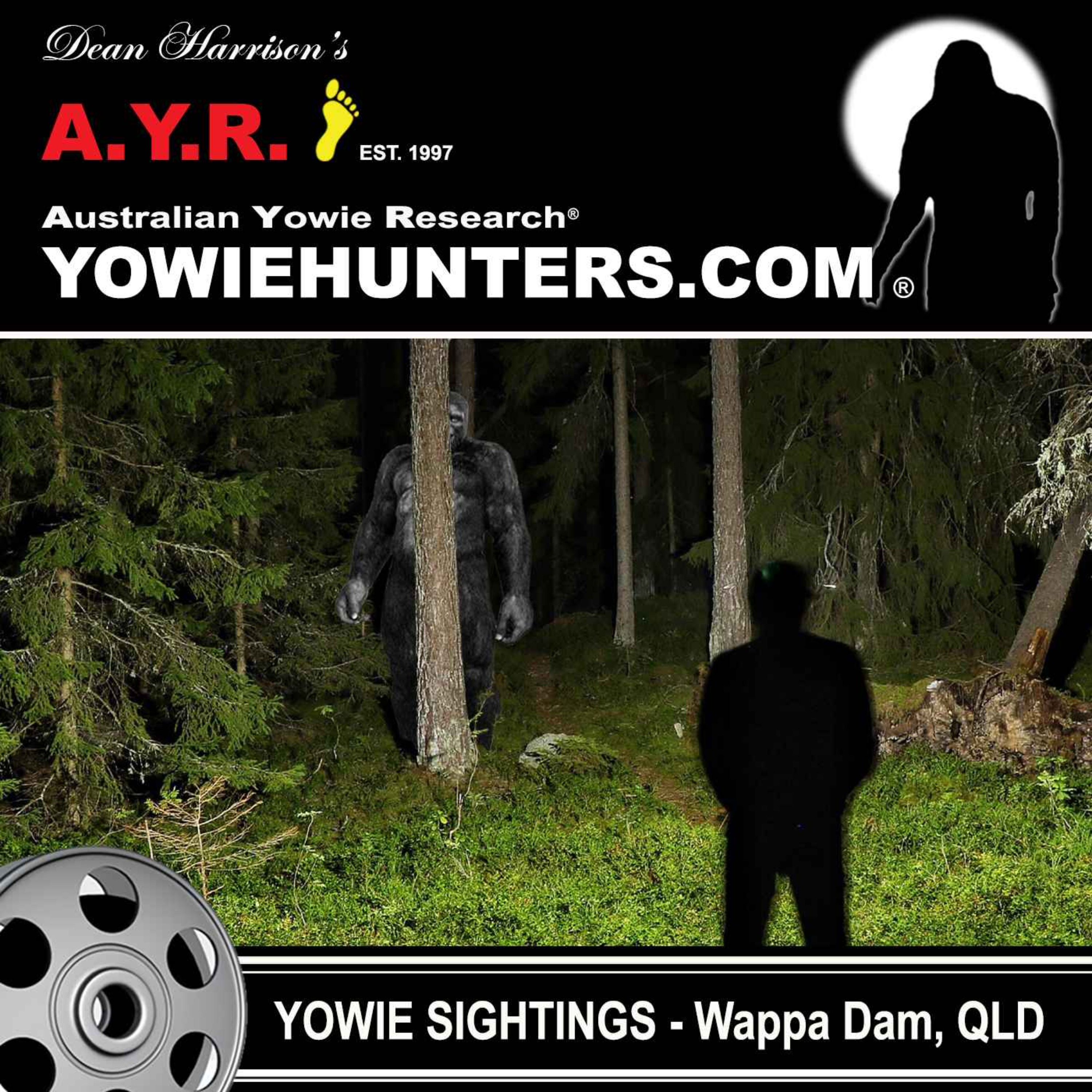 Yowie Sighting at Wappa Dam, Yandina Queensland - 2016
