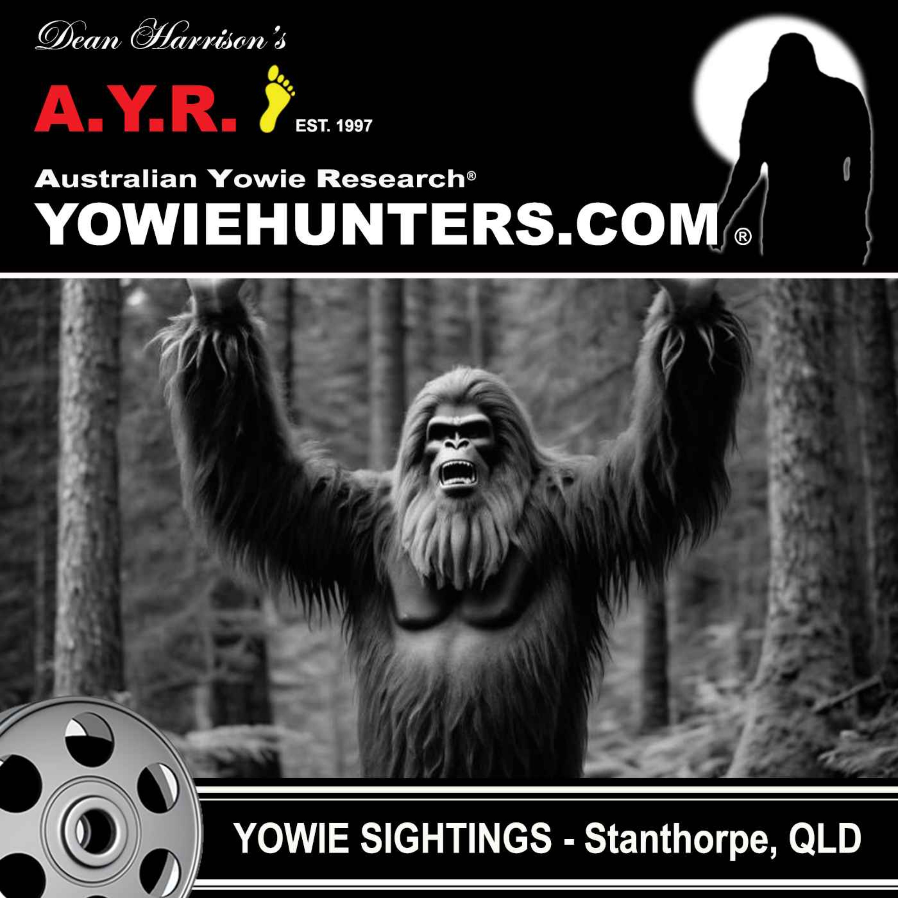 Yowie Sighting at Stanthorpe, Queensland in the 1930's