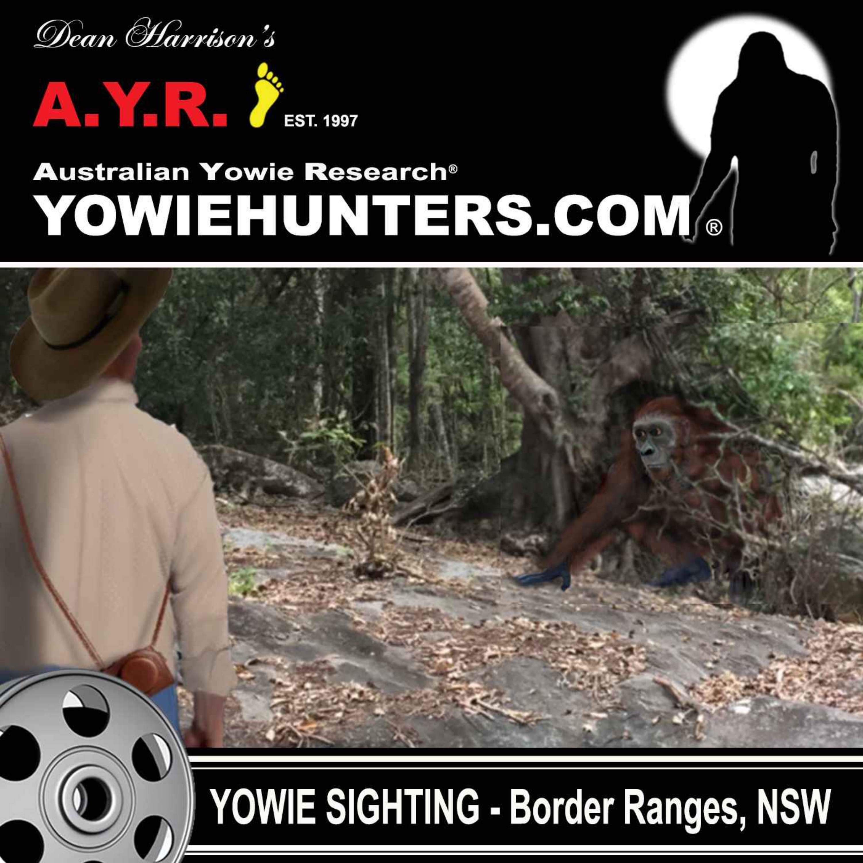 Yowie Sighting in the Border Ranges, New South Wales - 2017