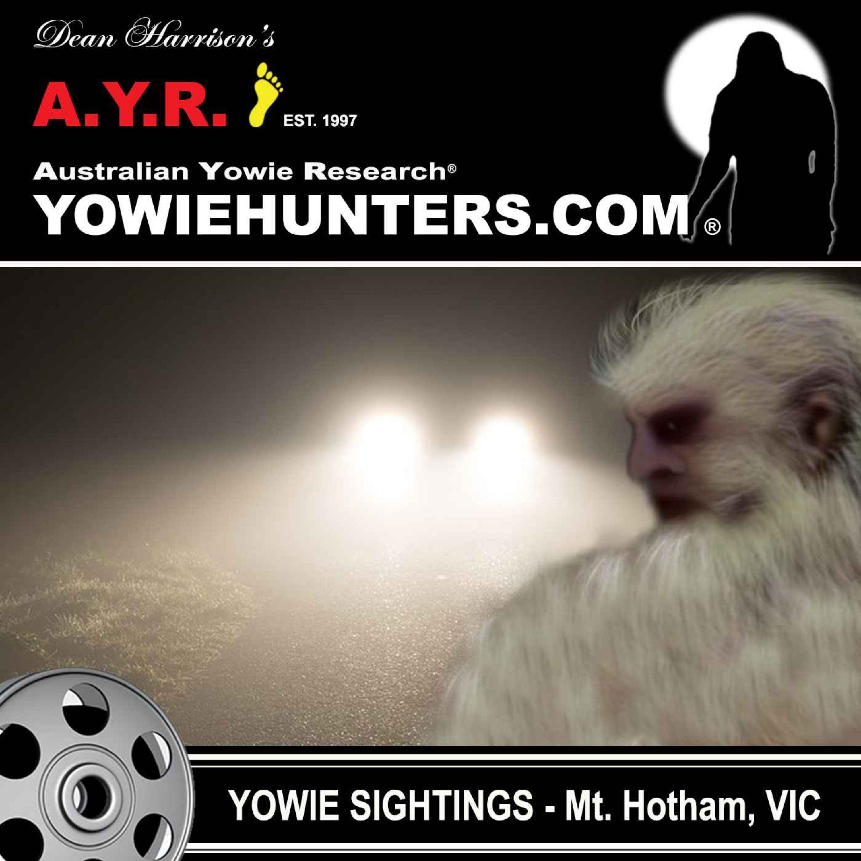 Yowie Sighting at Mount Hotham, Victoria 2015
