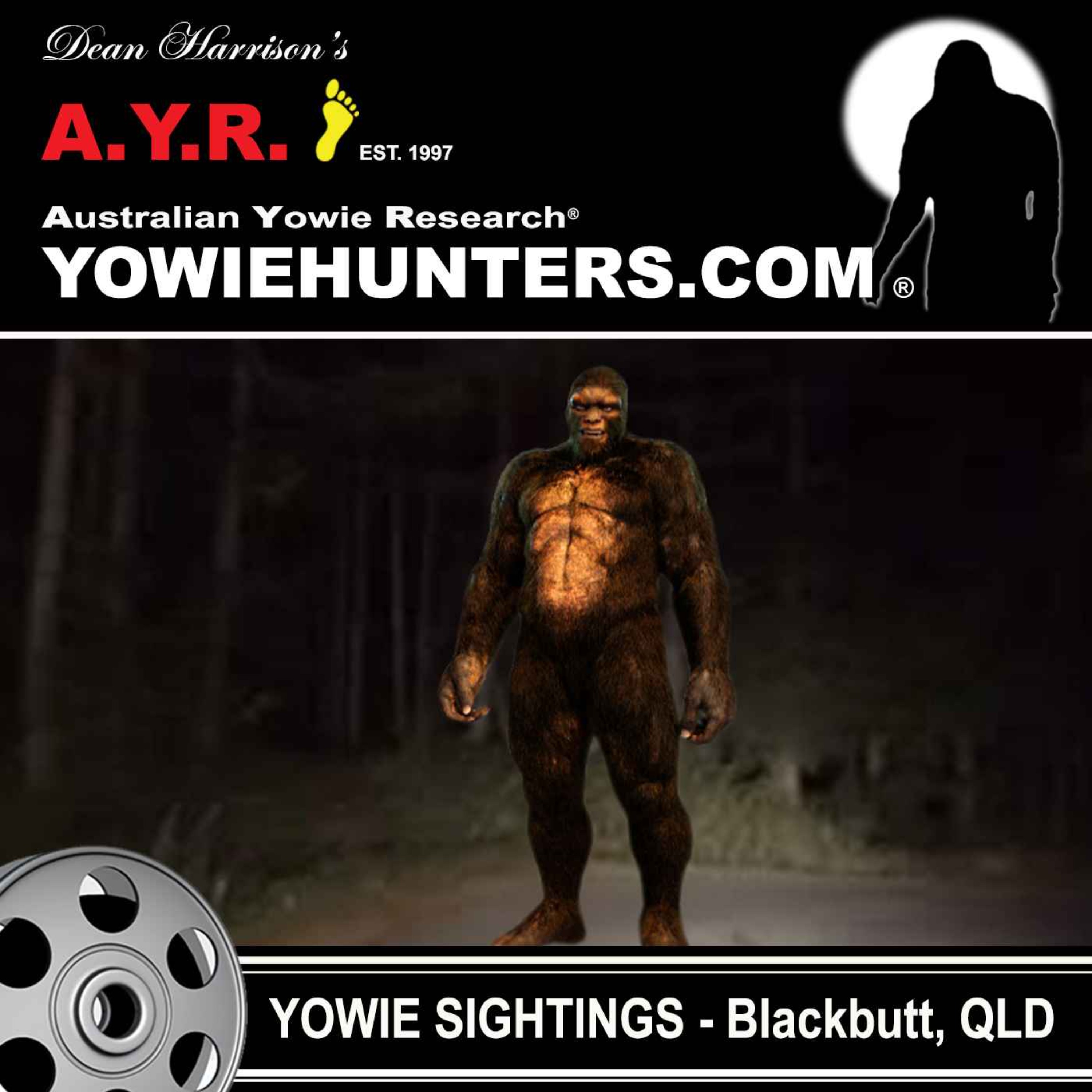 Yowie Sightings at Blackbutt, Queensland - 2000