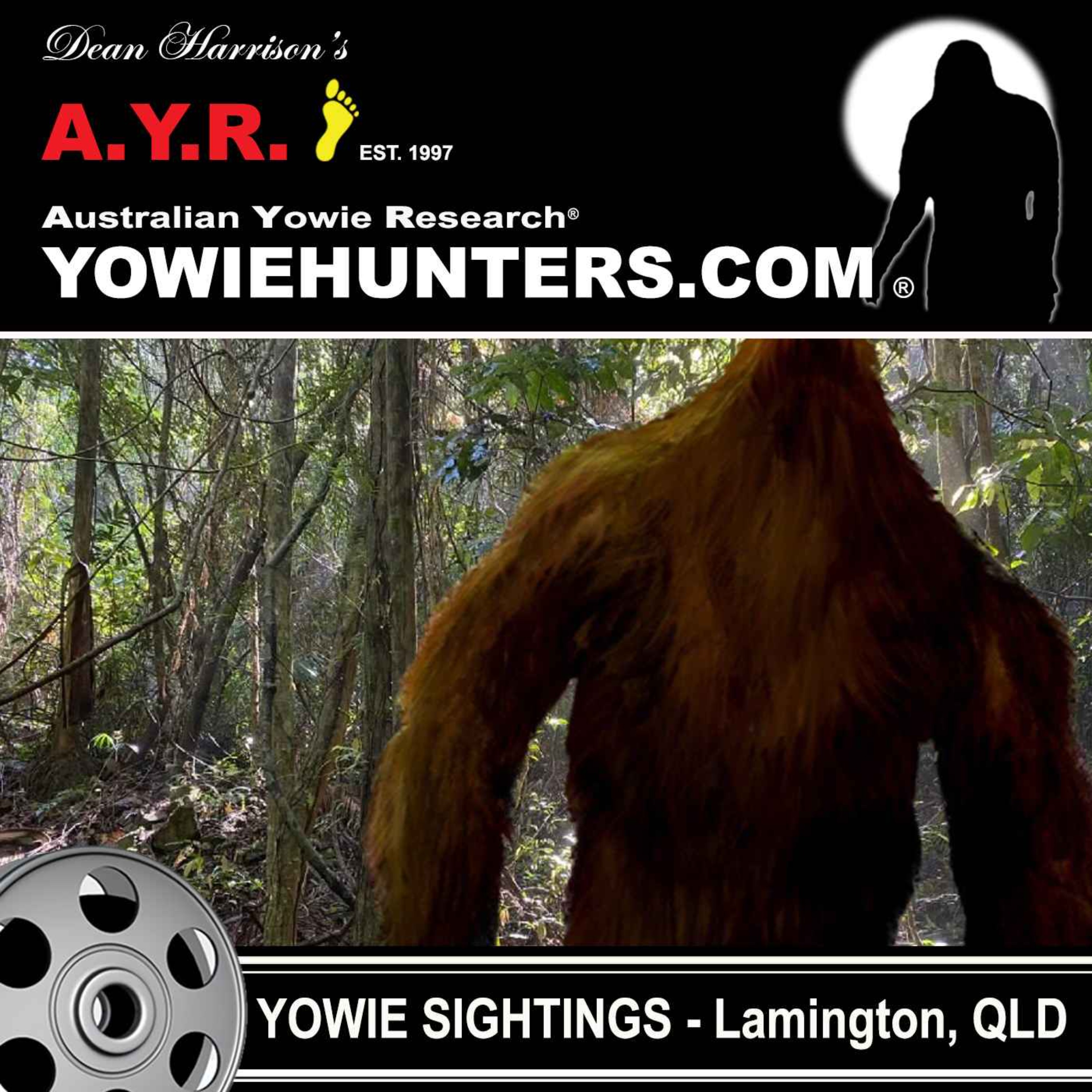 Yowie Sighting at  the Lamington National Park, Queensland - 2005