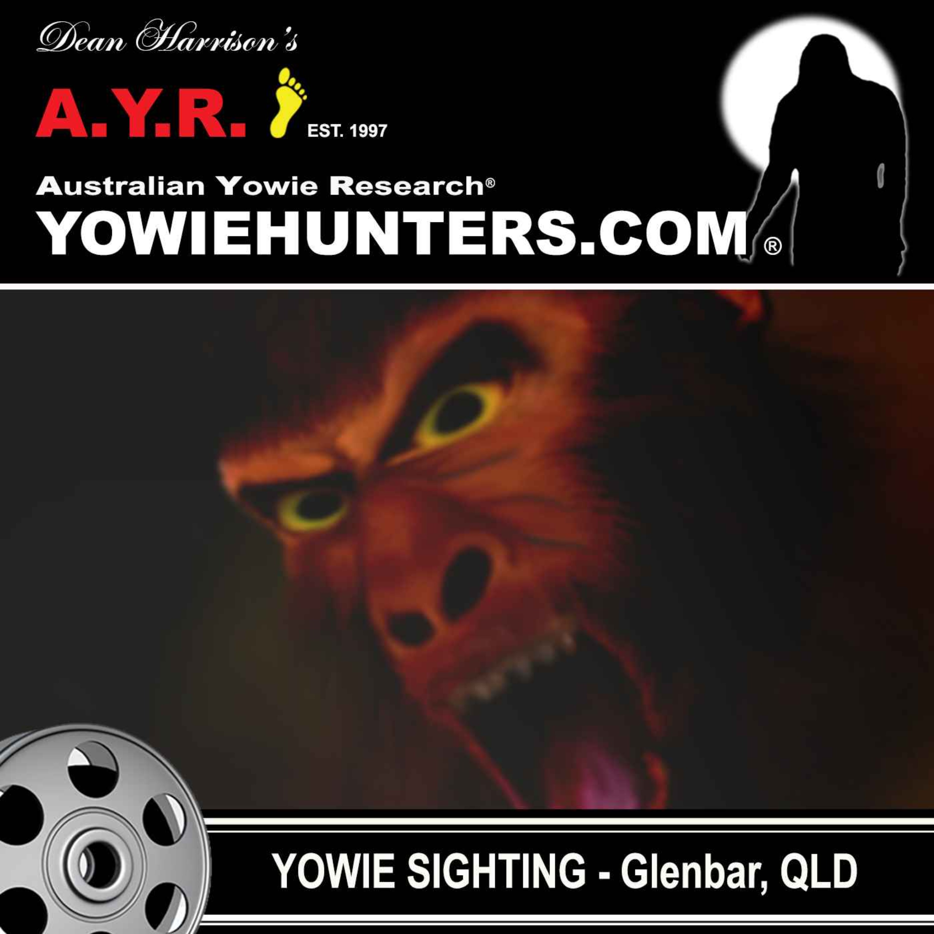 Yowie Sightings at Glenbar, Queensland - 2016