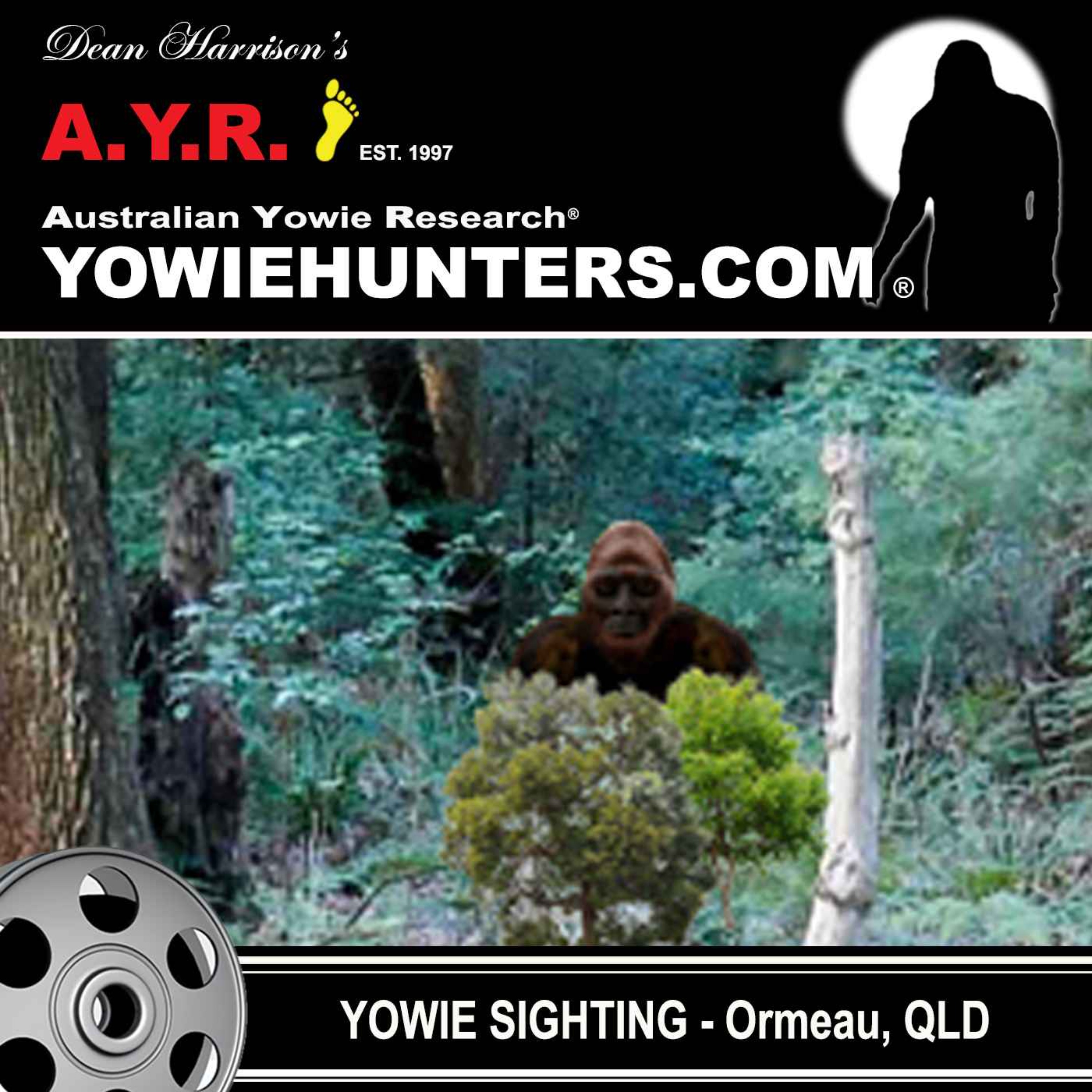 Yowie Sighting at Ormeau, Queensland -  2003