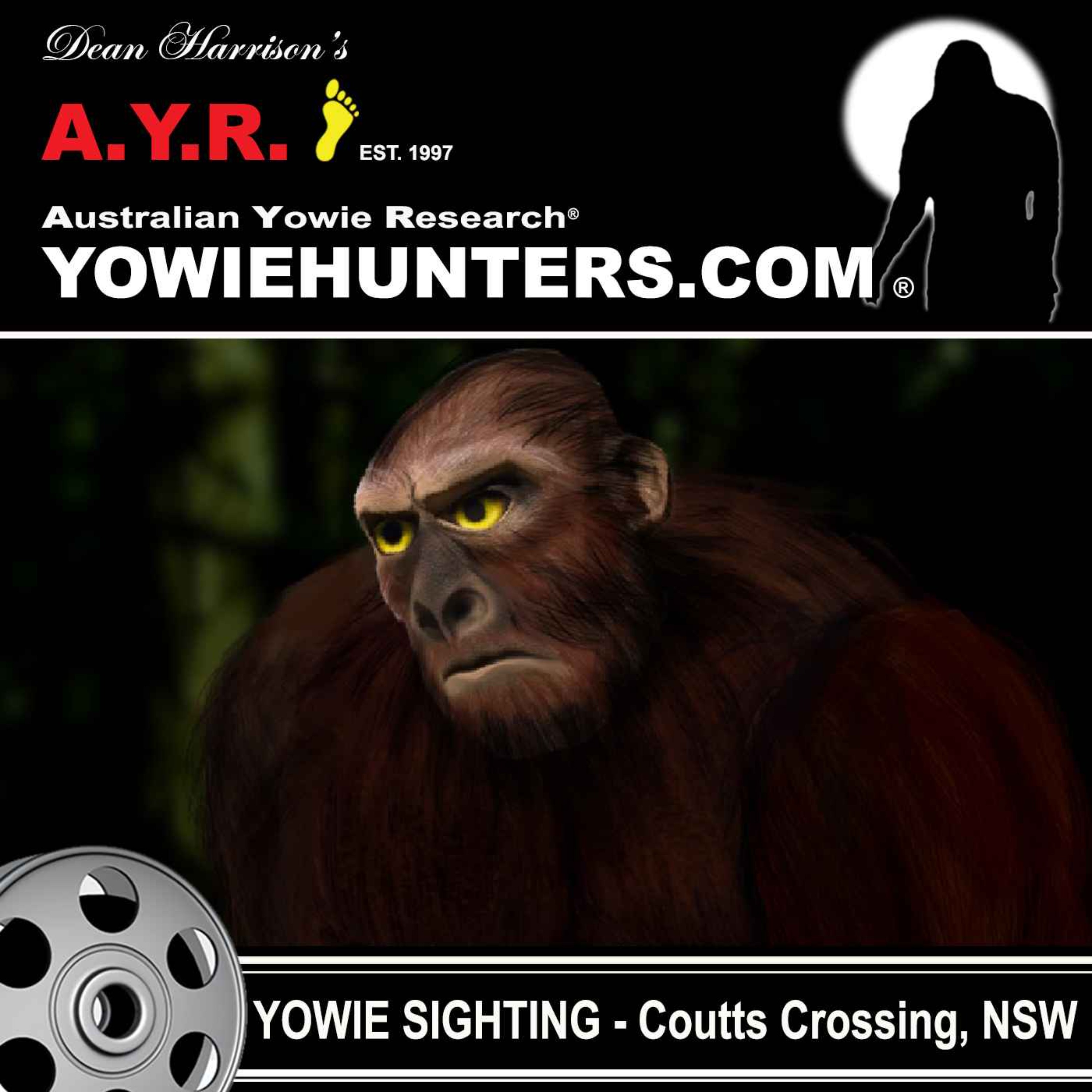 Yowie Sighting at Coutts Crossing, New South Wales -  2014