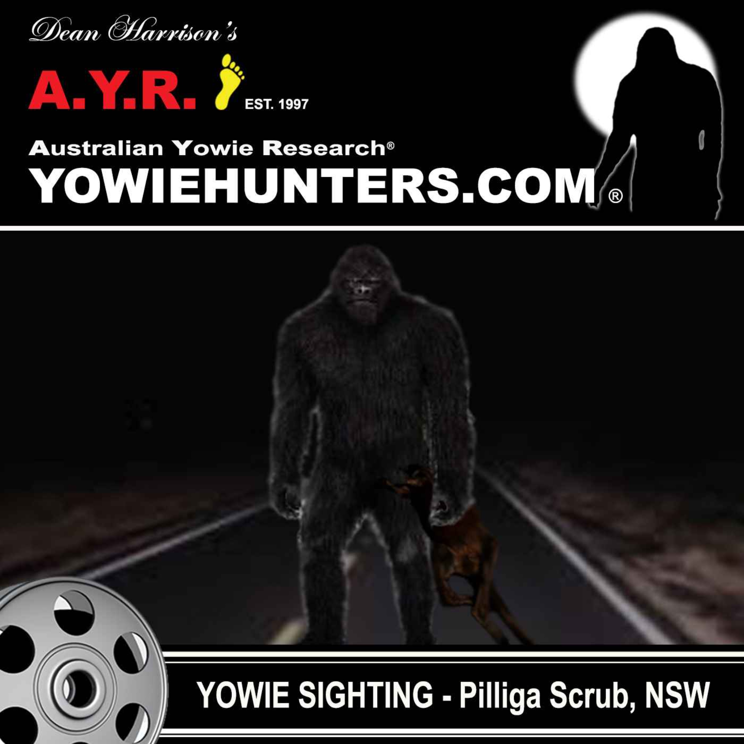 Yowie Sighting in the Pilliga Scrub, Newel Hwy, New South Wales - 1978