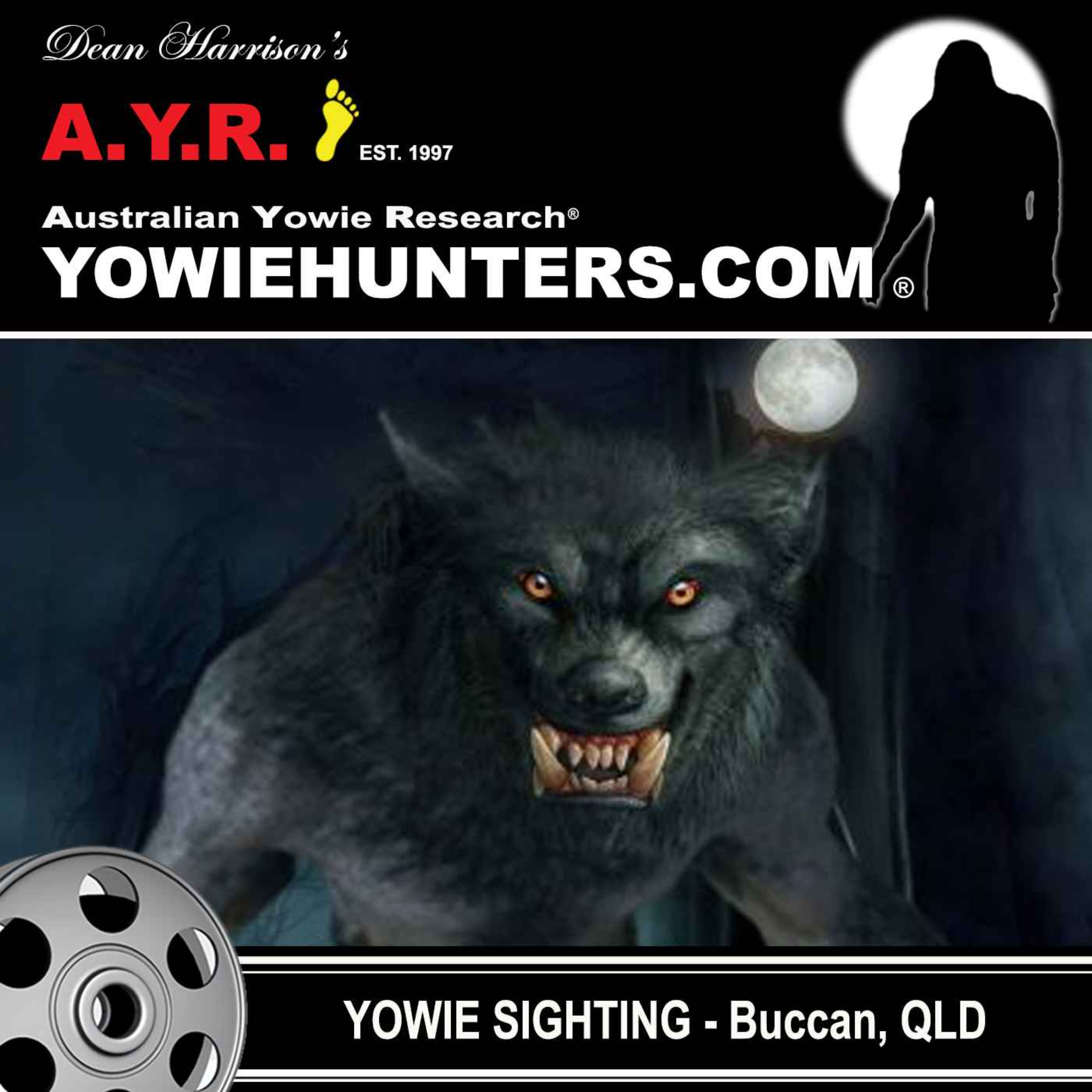 Yowie Sighting at Buccan / Logan Village, Queensland - 2017
