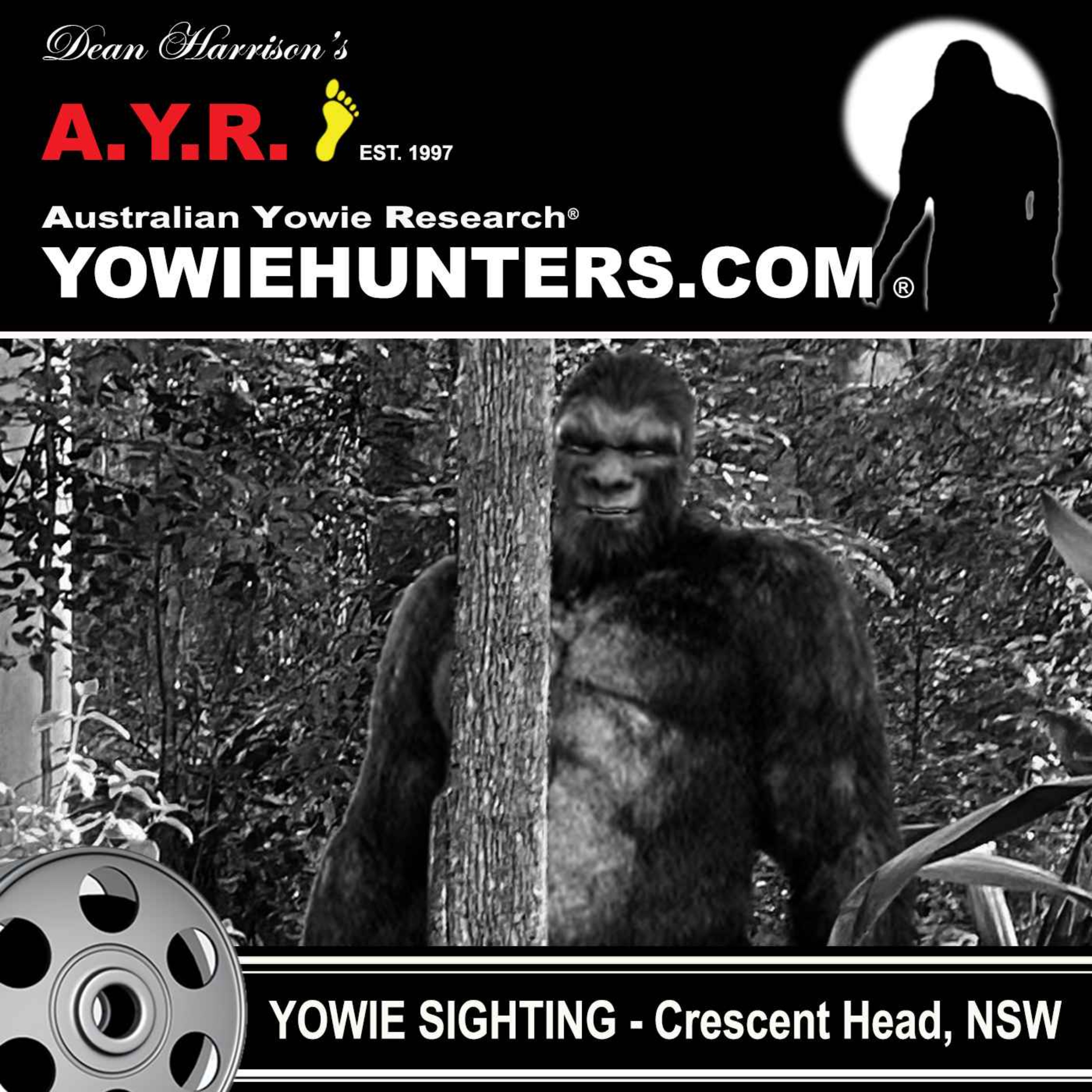 Yowie Sighting at Crescent Head, New South Wales - 1930