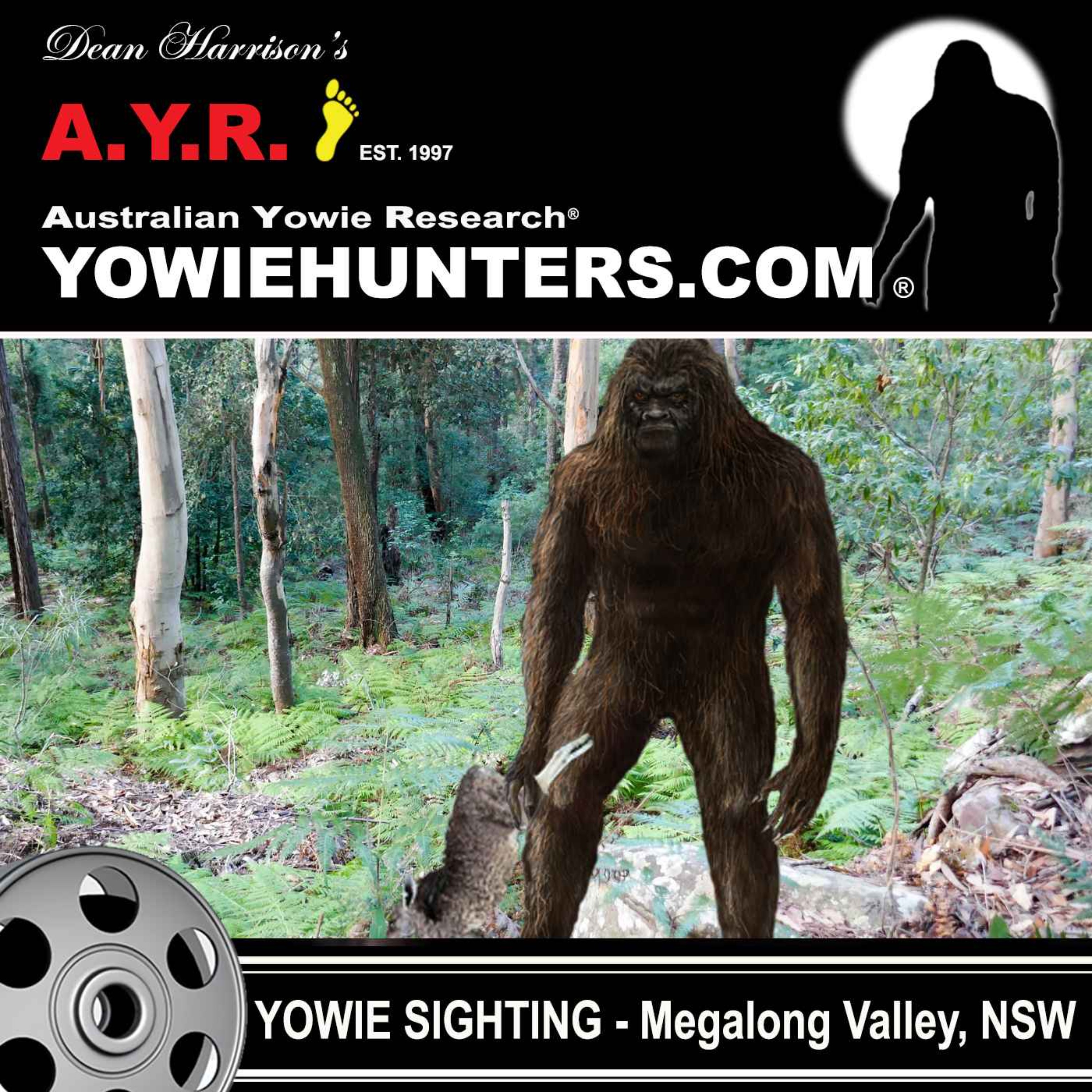 Yowie Sighting in the Megalong Valley, New South Wales - 2006